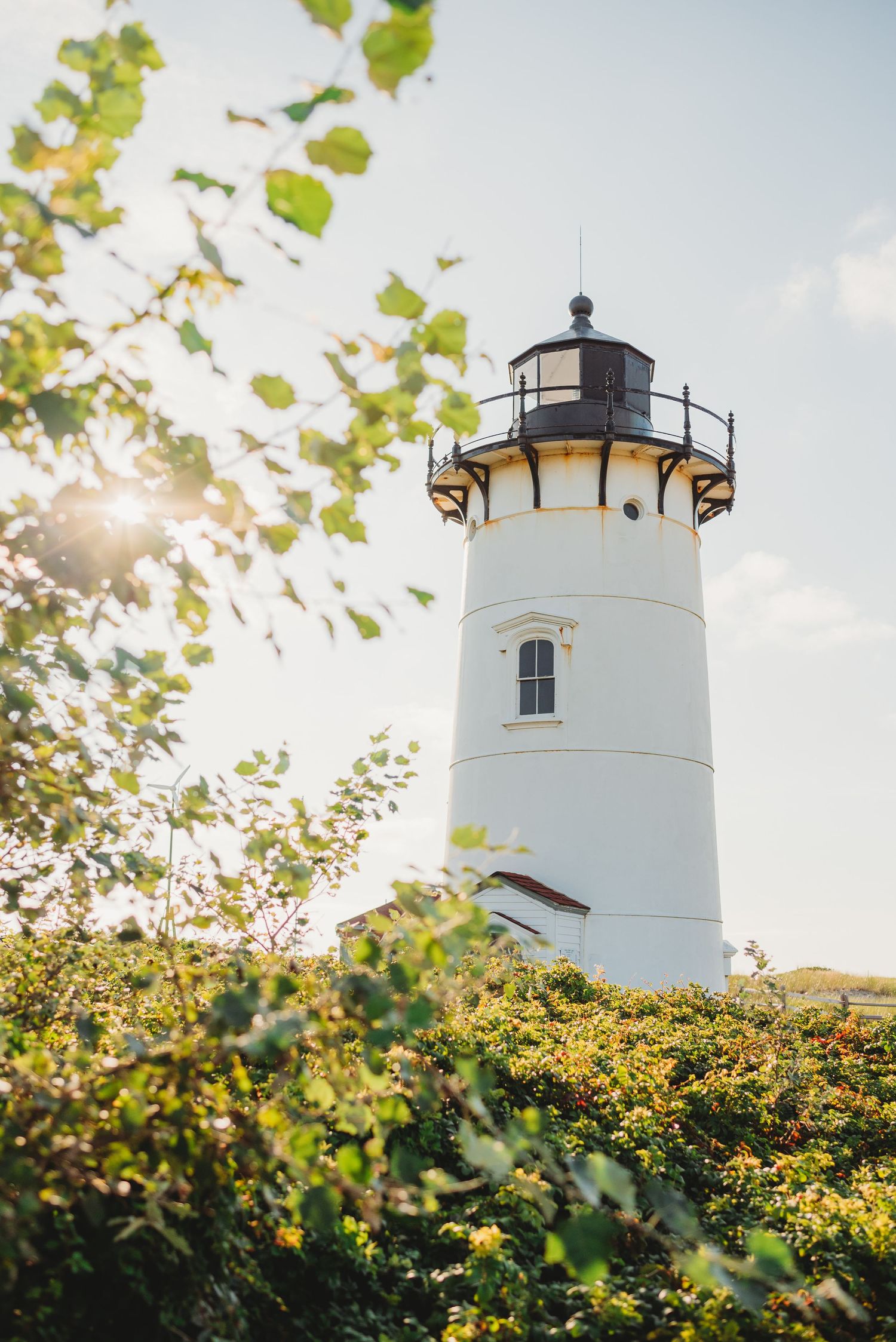 White lighthouse tower rising above sunlit foliage against blue sky.