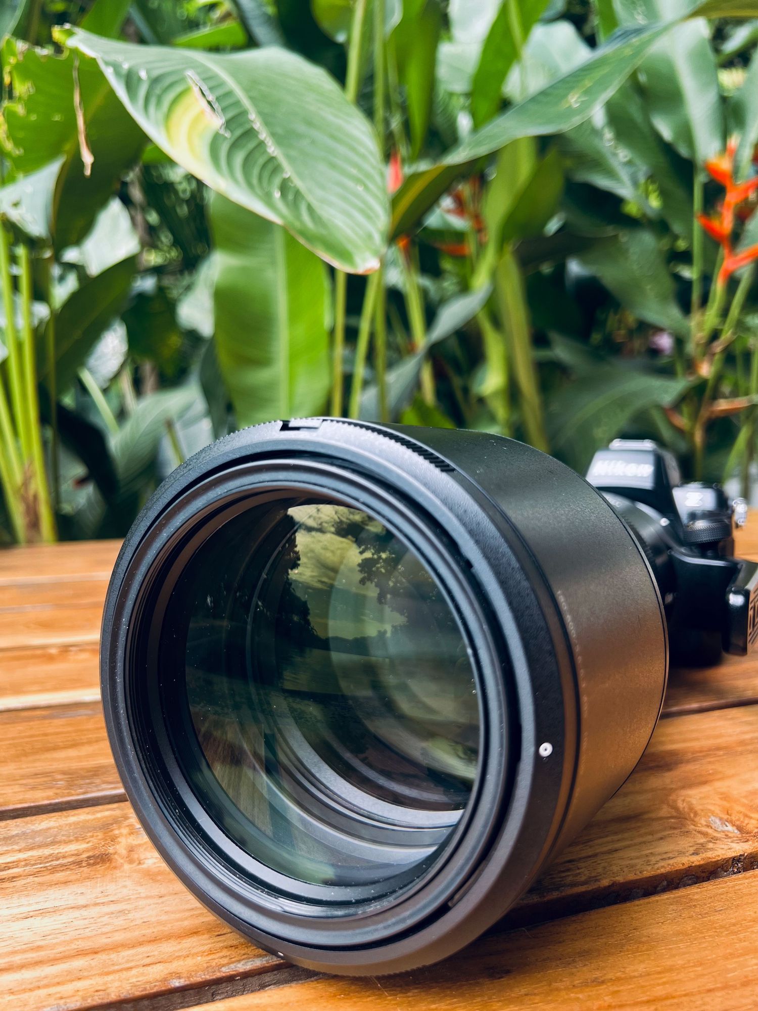 A large black camera lens resting on a wooden surface with lush tropical green plants in the background.