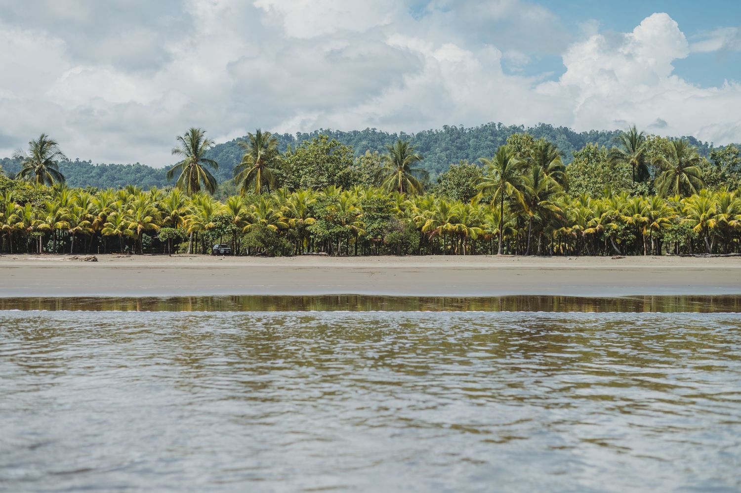 Panoramic view of a tropical coastline with palm trees and calm waters stretching to the horizon.