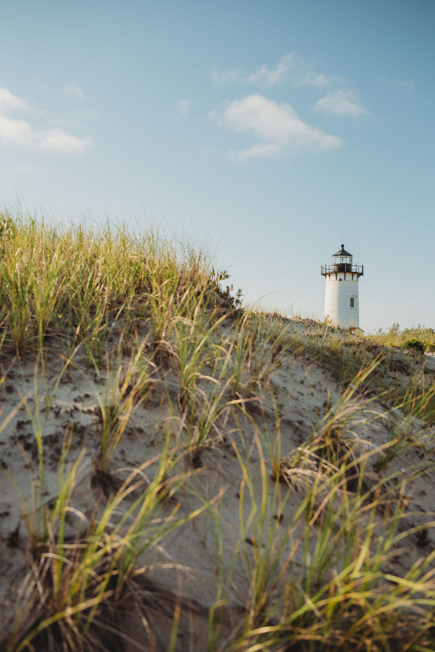 Beach grass and sand dunes frame a distant lighthouse against a bright blue sky.