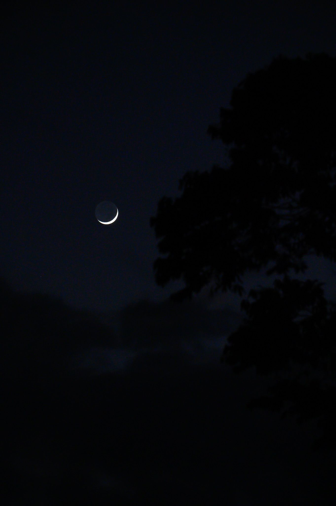 Crescent moon glowing in a dark night sky with tree silhouette.