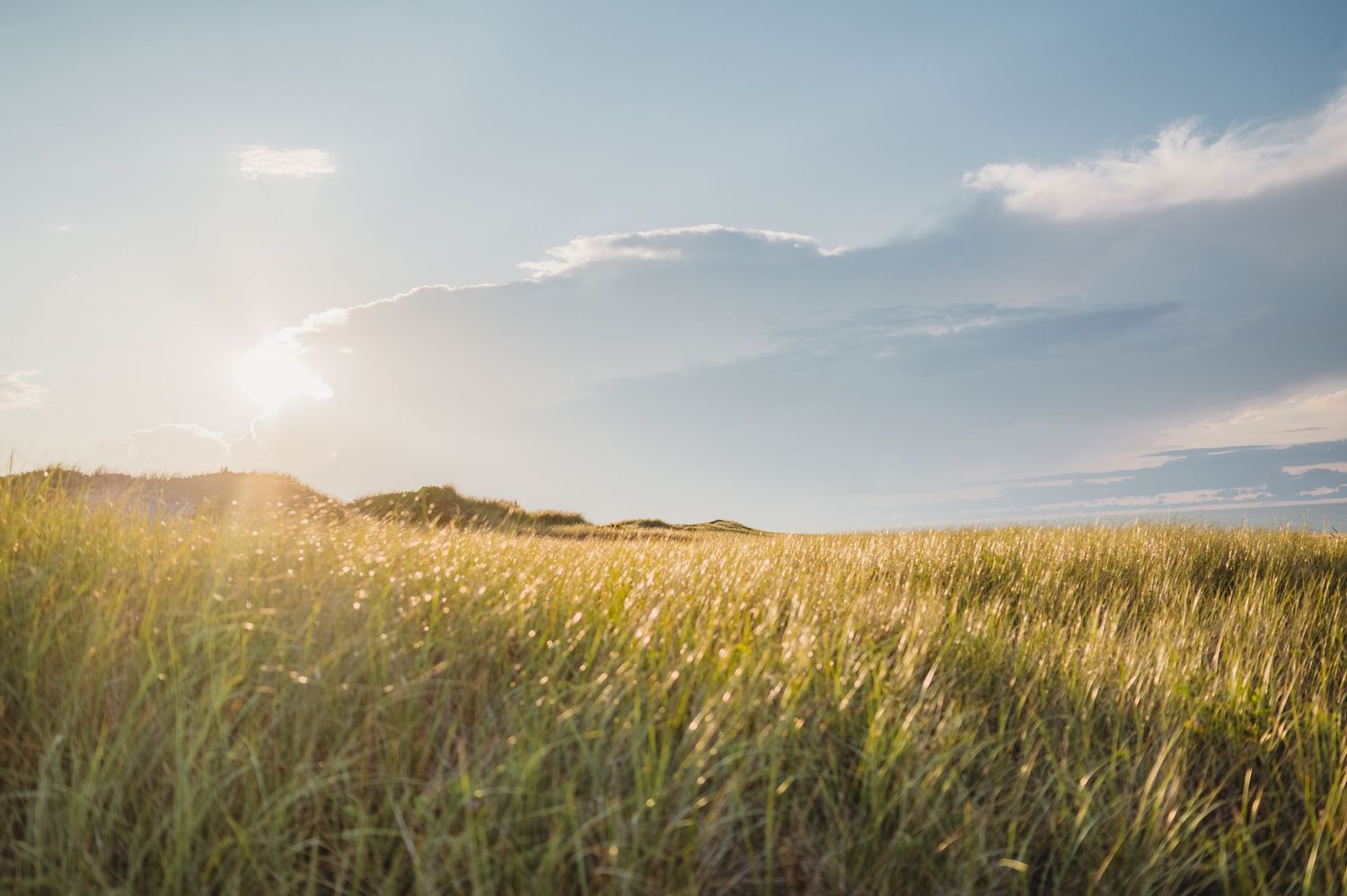 Golden sunlight illuminates tall grass fields under a vast blue sky.