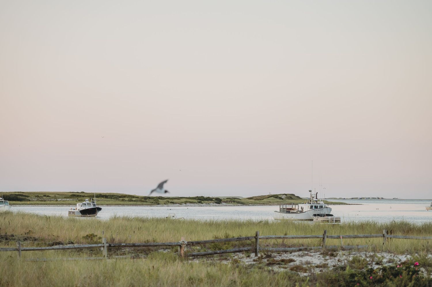 Two boats anchored in calm coastal waters at dusk, surrounded by marsh grass, with a seagull in flight nearby.