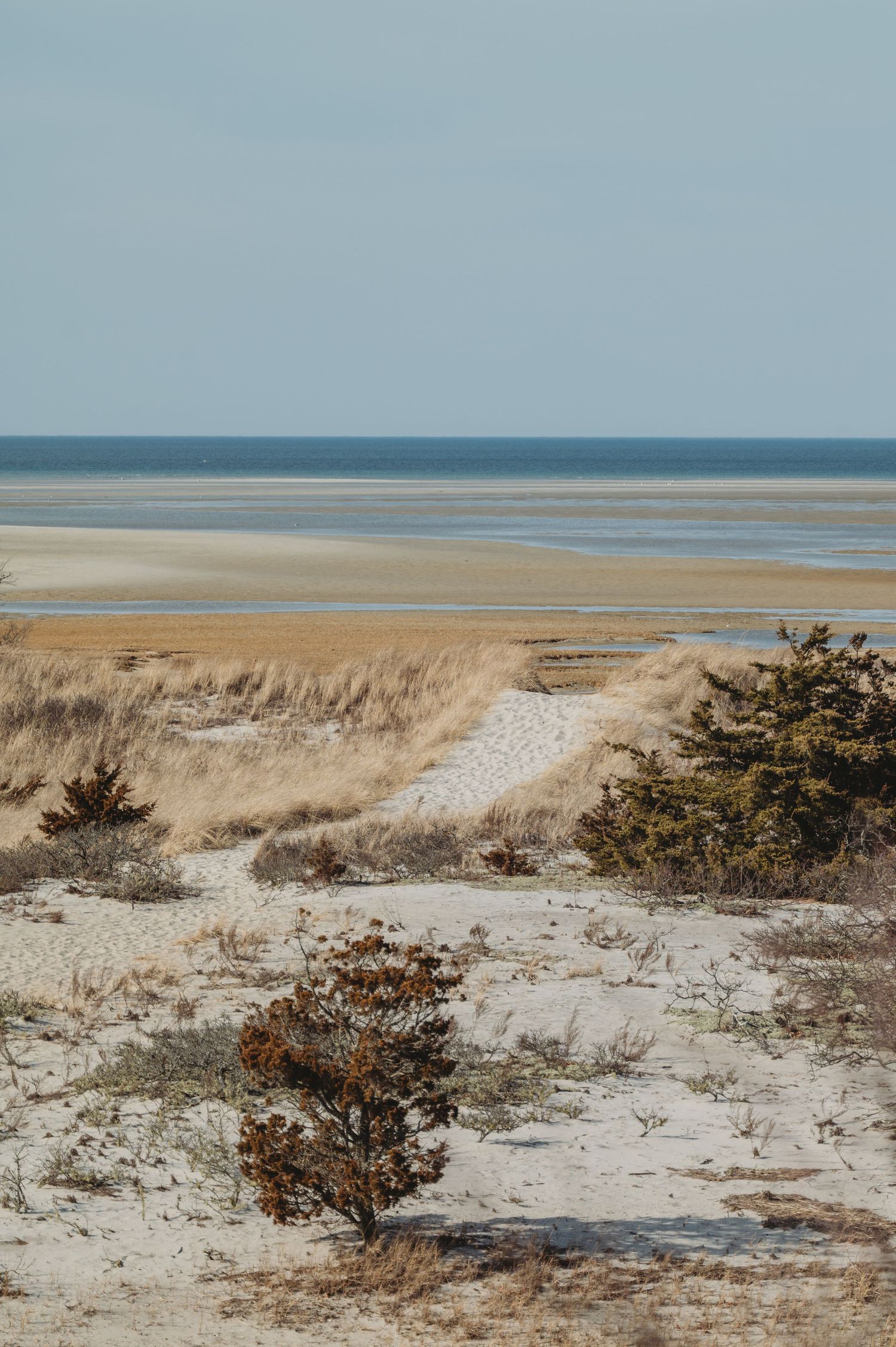 Sandy coastal dunes with sparse shrubs and dry grass overlooking a vast tidal flat and calm blue ocean horizon.