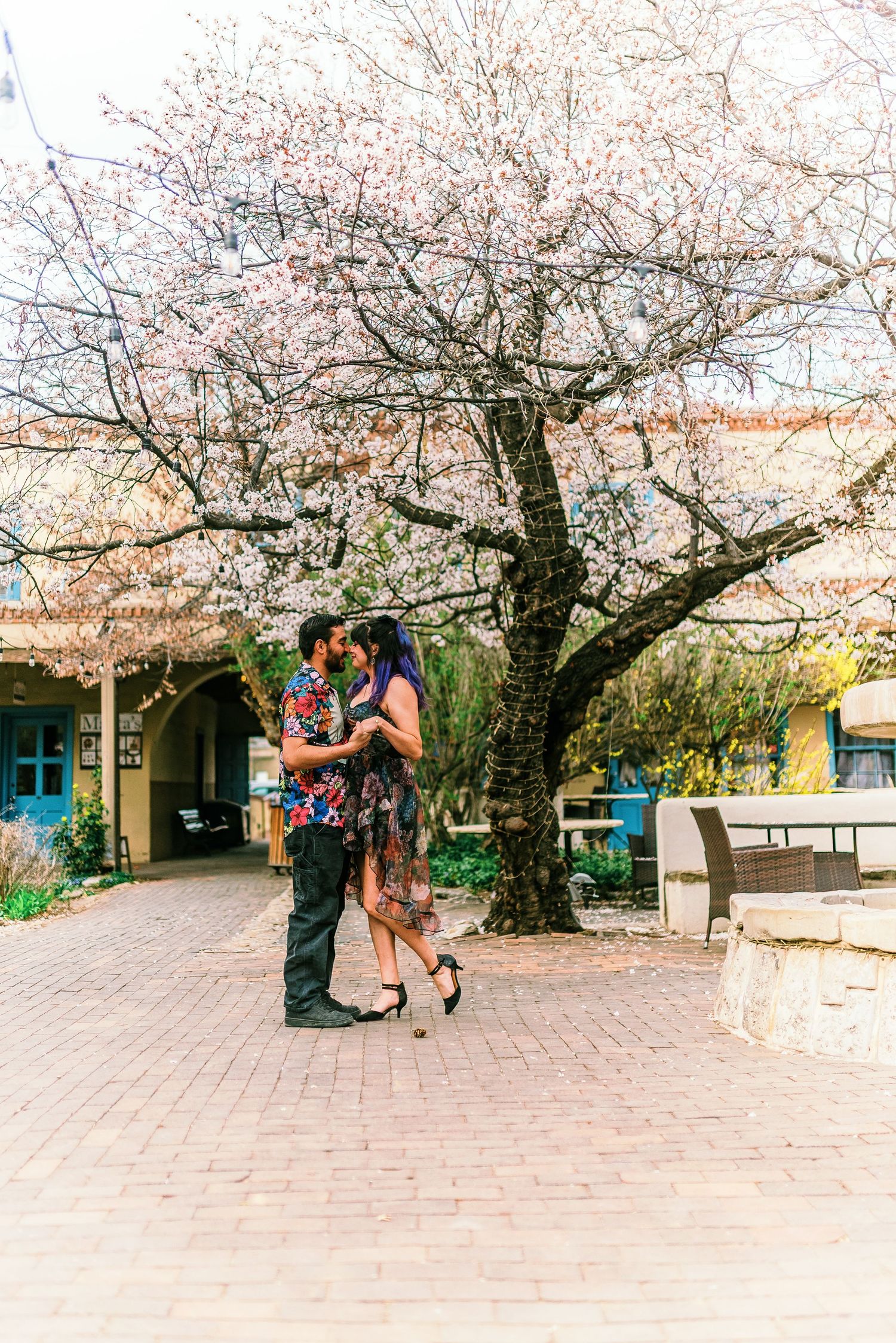 Couple embracing and kissing under a blooming cherry blossom tree on a brick courtyard in spring.