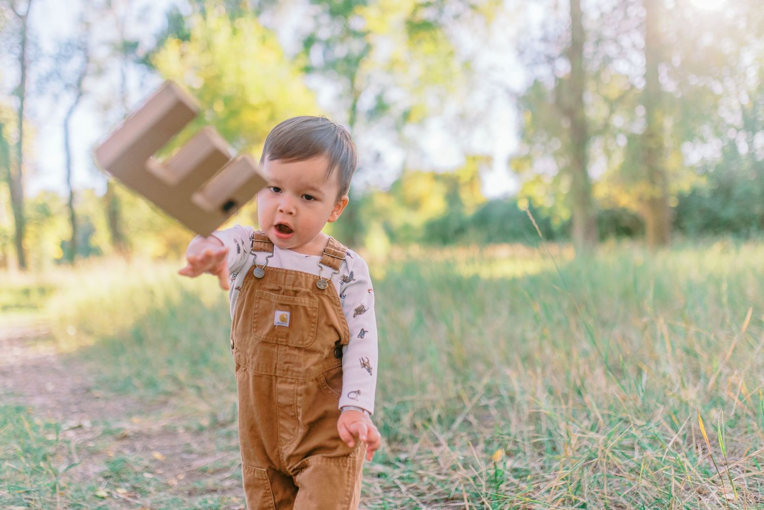 A small child in brown overalls stands in a sunlit forest clearing during autumn.
