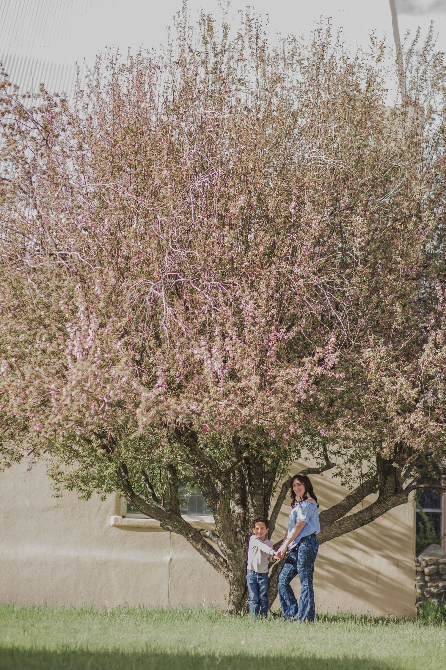 A group stands beneath a blossoming cherry tree in a peaceful spring setting with natural light filtering through.