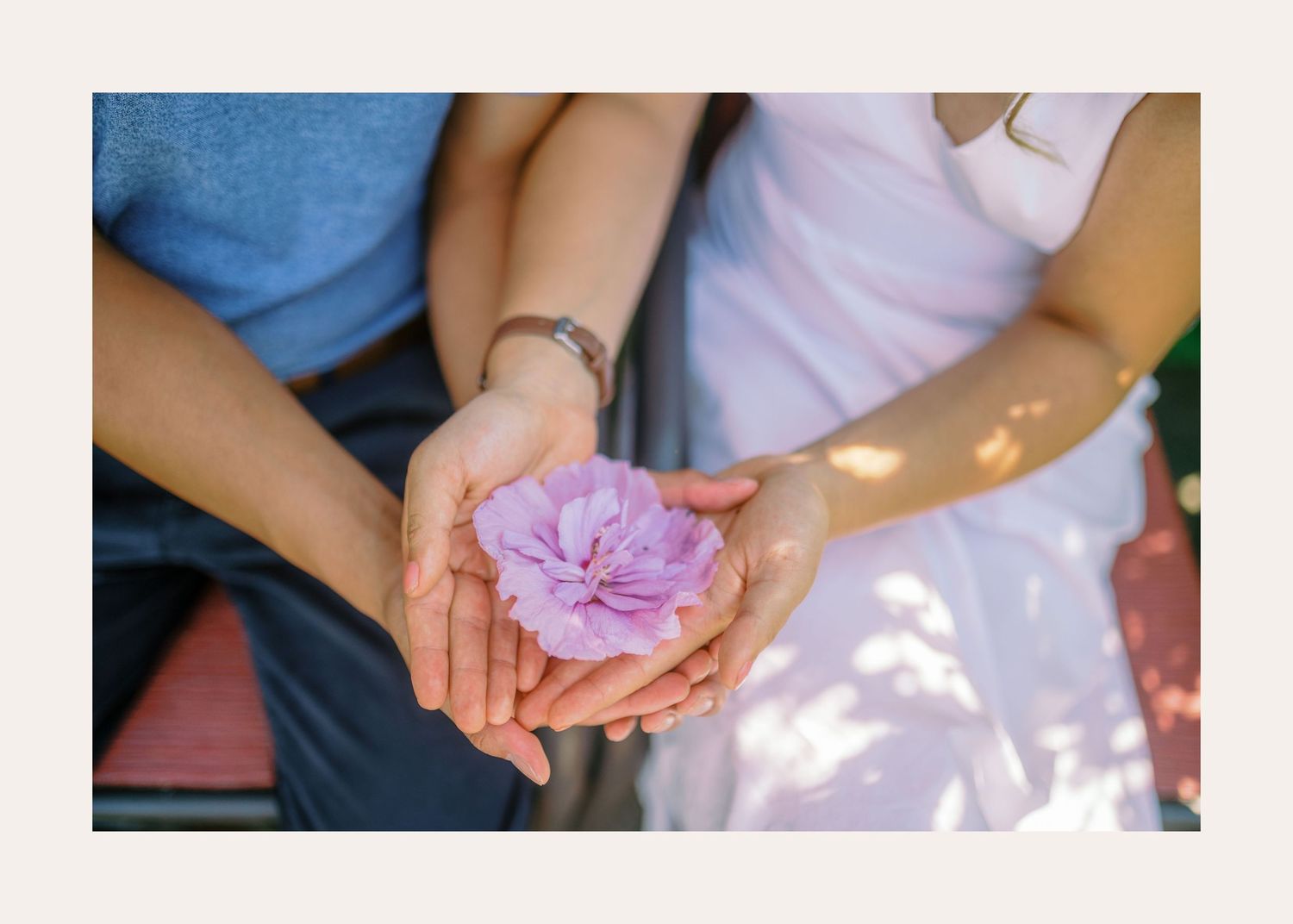 Hands gently holding a delicate pink flower in soft natural light.