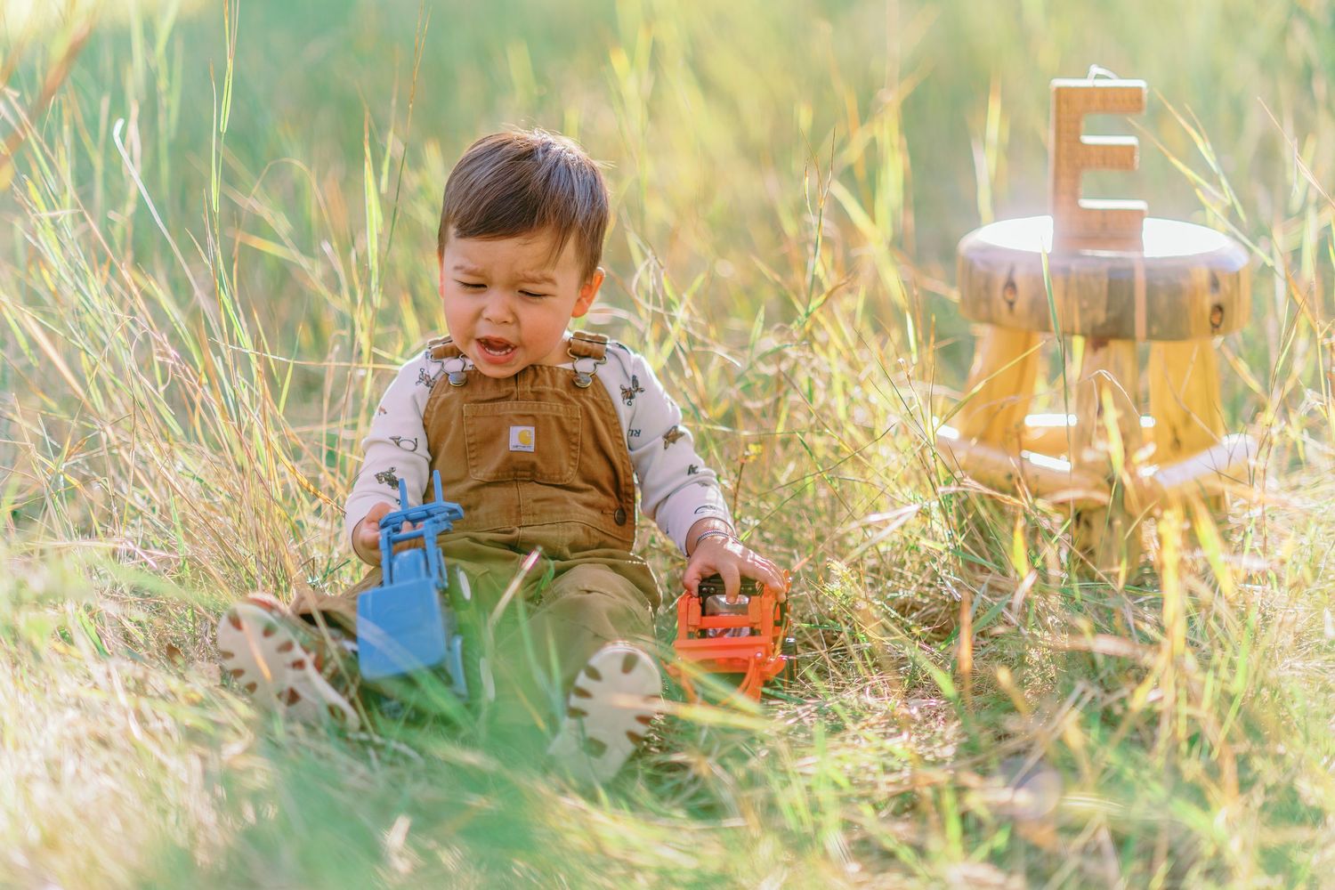A series of images showing a child playing outdoors in tall grass with toys and natural elements on a sunny day.