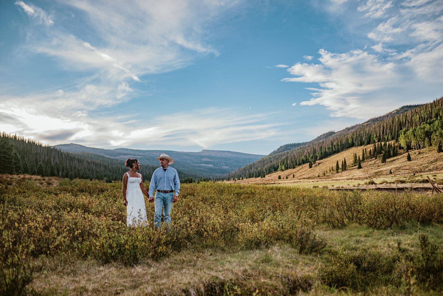 Couple in wedding attire holding hands in a scenic mountain meadow with evergreen forests and blue sky.