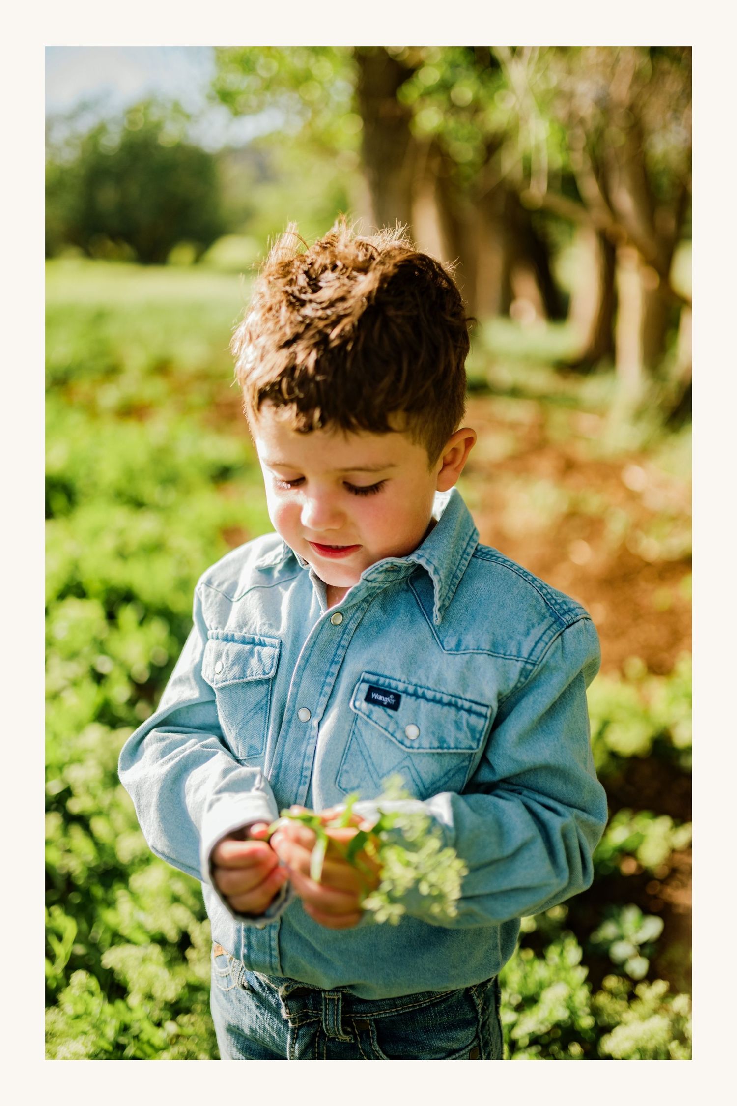 A young boy in a denim shirt examines a small green plant in a sunlit outdoor setting.