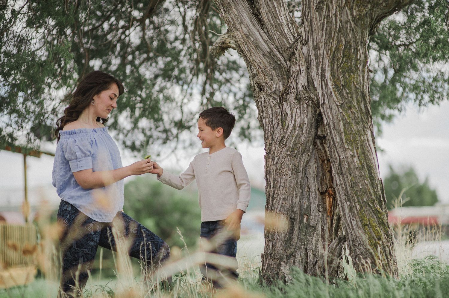 Couple in casual attire share playful moments and romantic embraces near a large tree in an outdoor park setting.