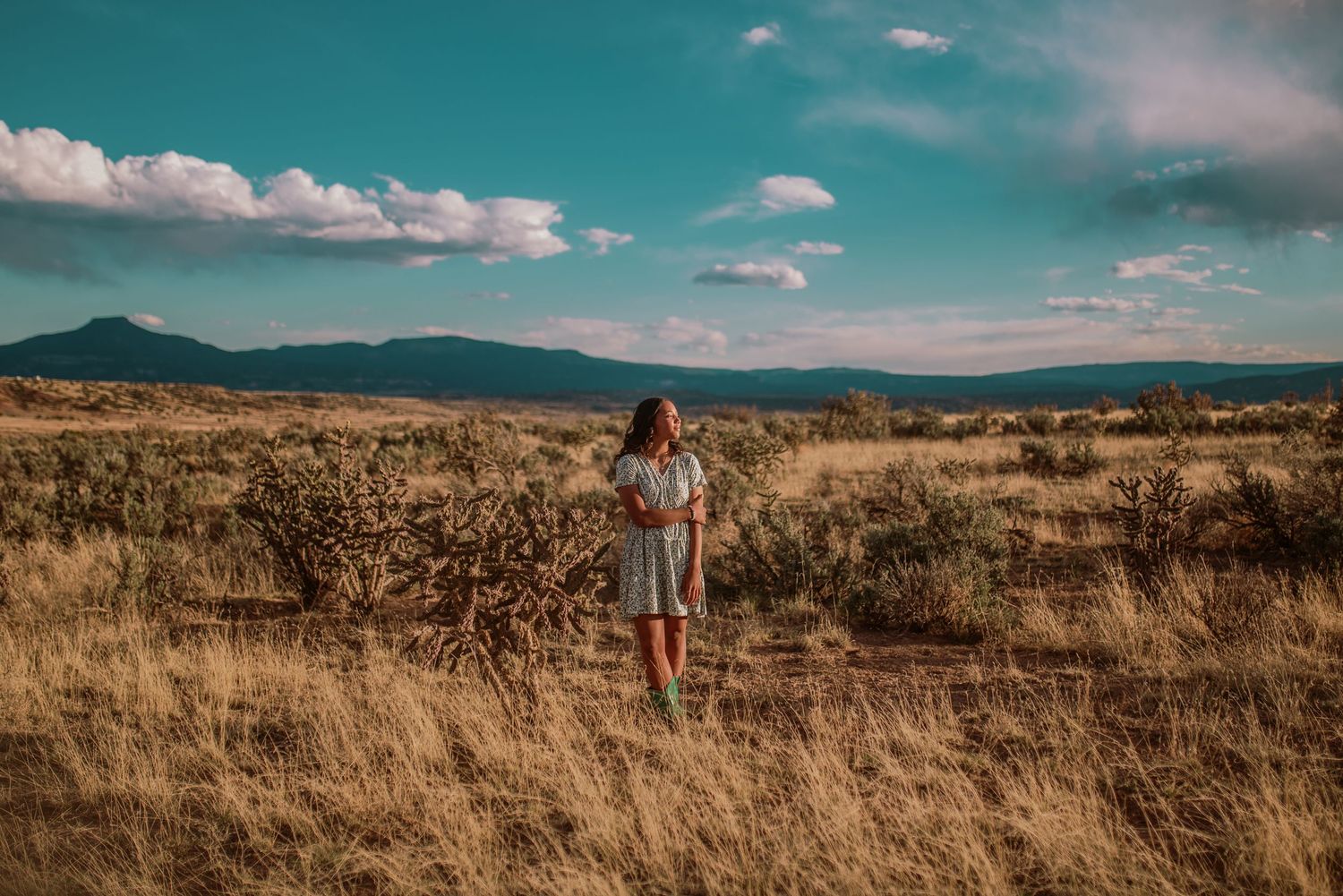 Senior girl standing in golden grass with Abiquiú mountains and teal sky in the background — spring portrait by The Amoras.