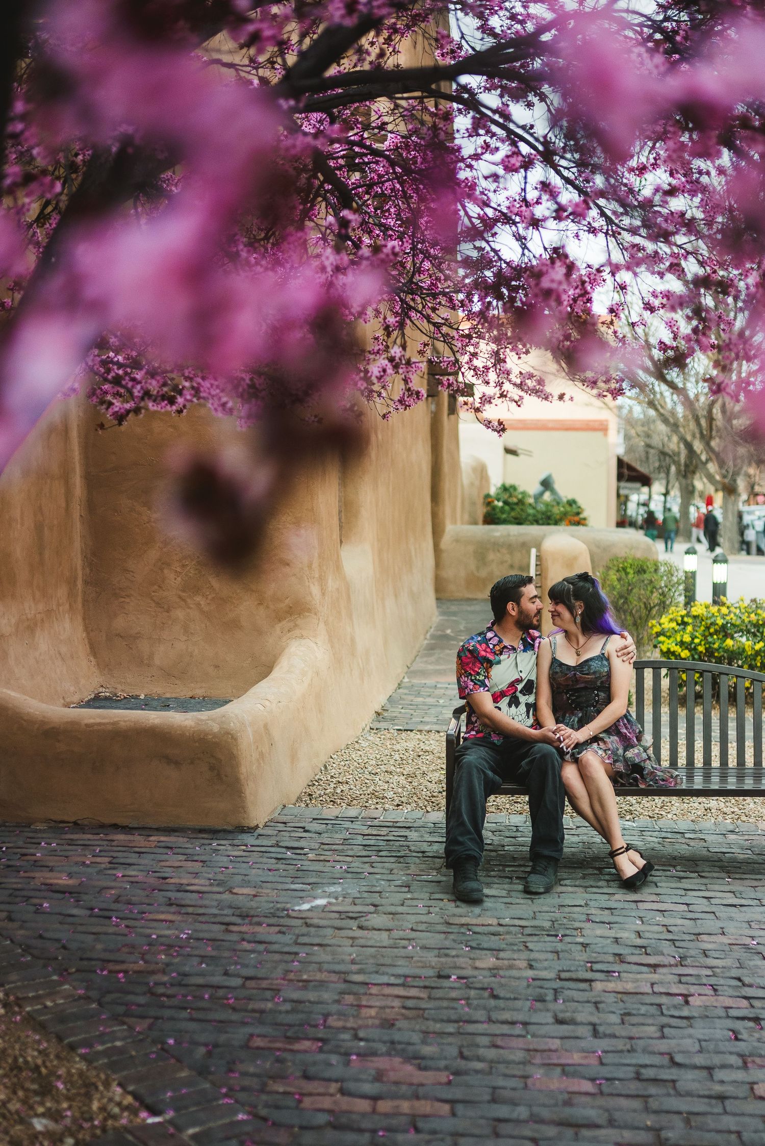 Couple sharing a romantic moment on a bench framed by blooming pink redbud trees in a charming adobe courtyard.