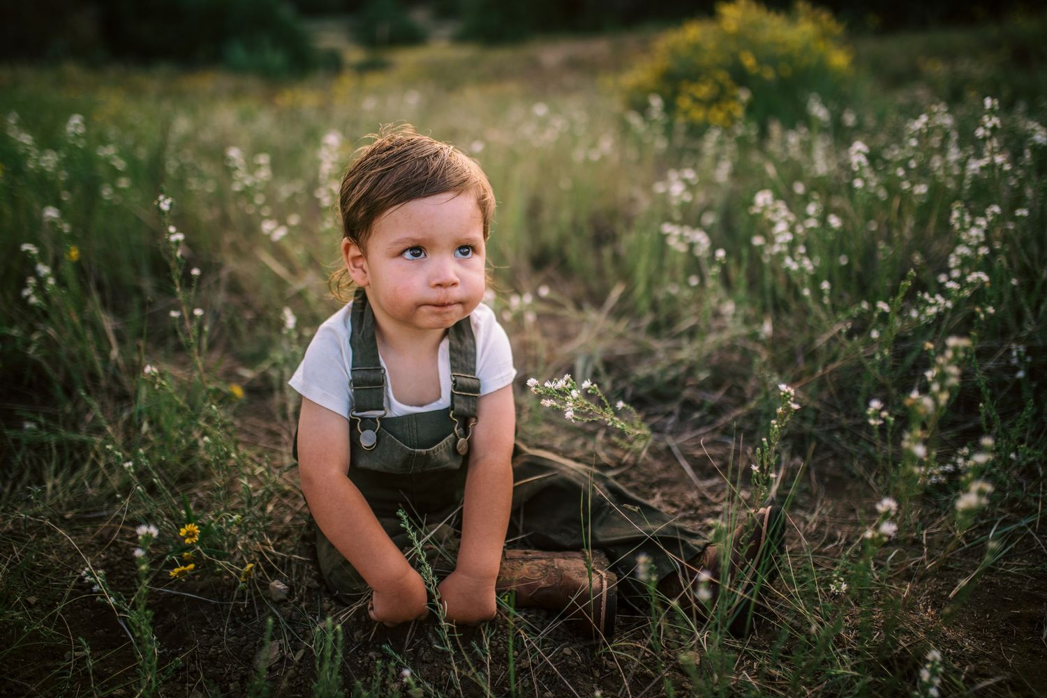 Candid photo of a toddler playing in a sunlit meadow — gentle storytelling by Quiet Light by The Amoras.