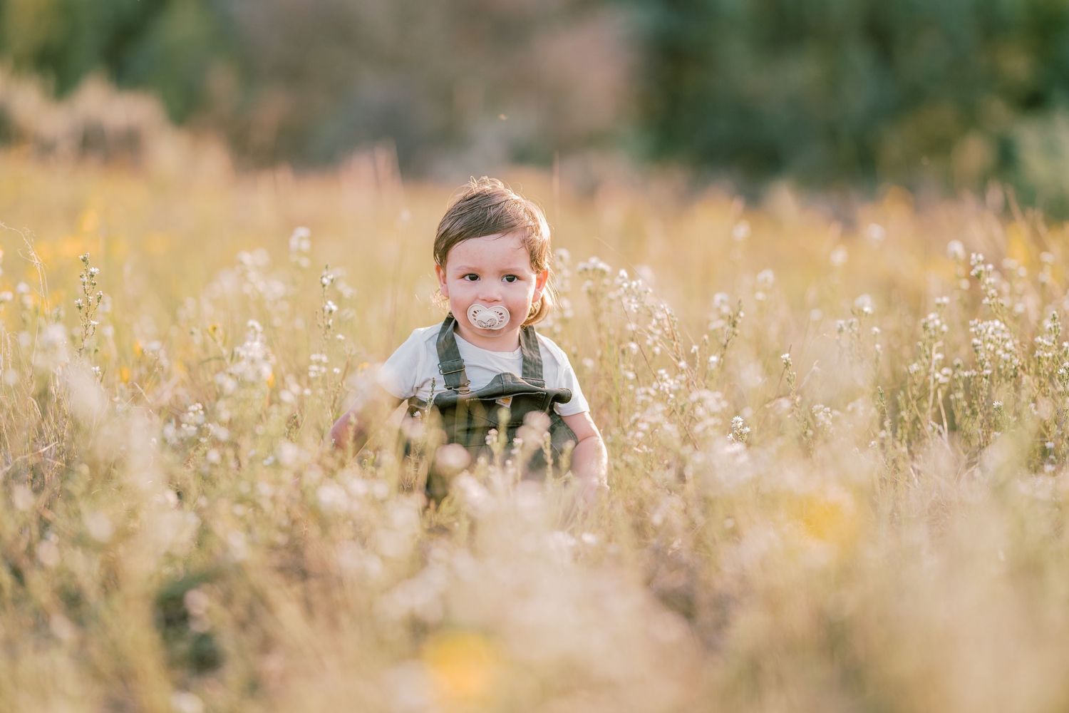 A toddler peeks out from tall golden wildflowers in a dreamy outdoor portrait.