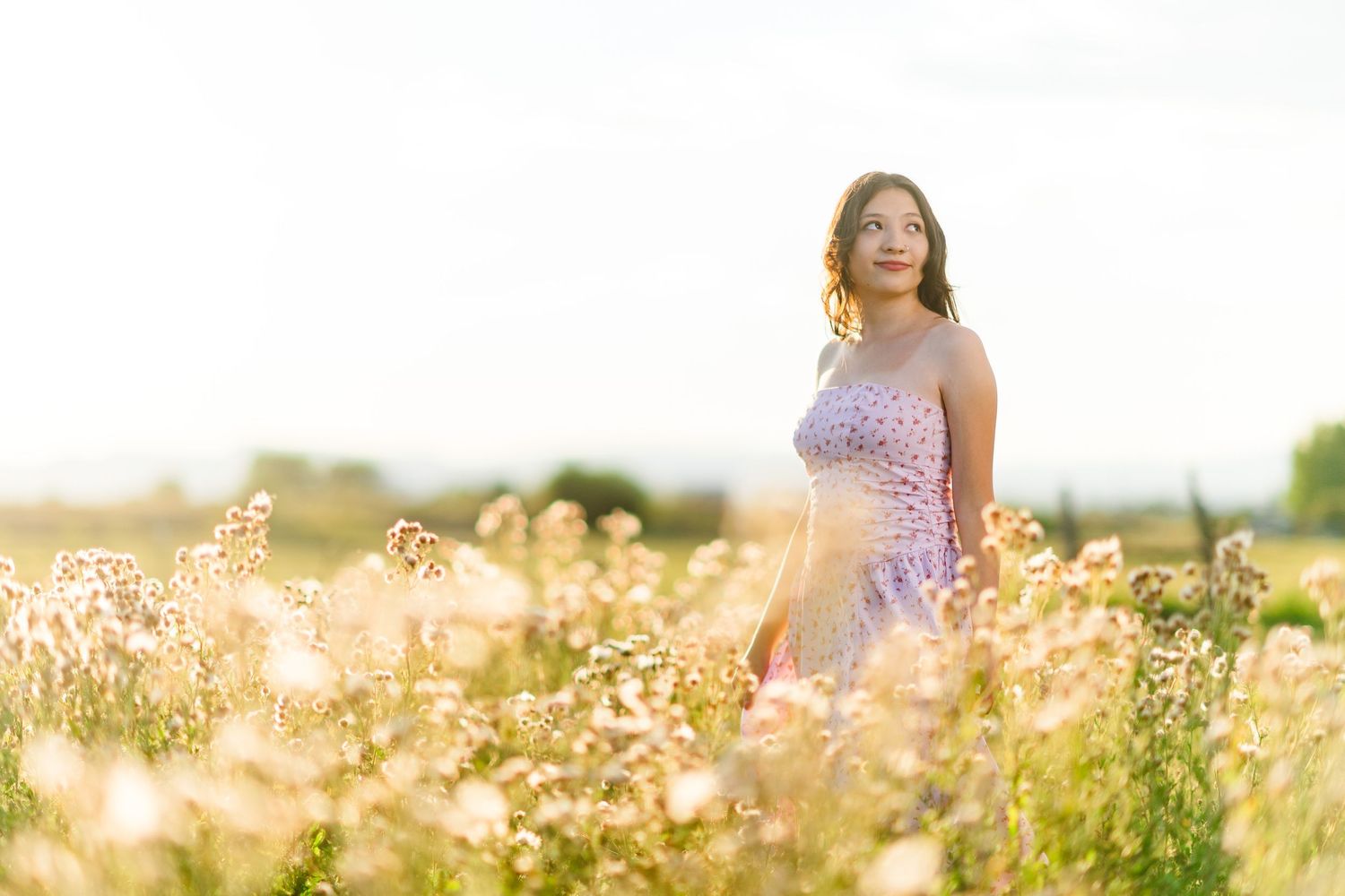 Woman in purple dress stands among wildflowers in a golden summer meadow at sunset.