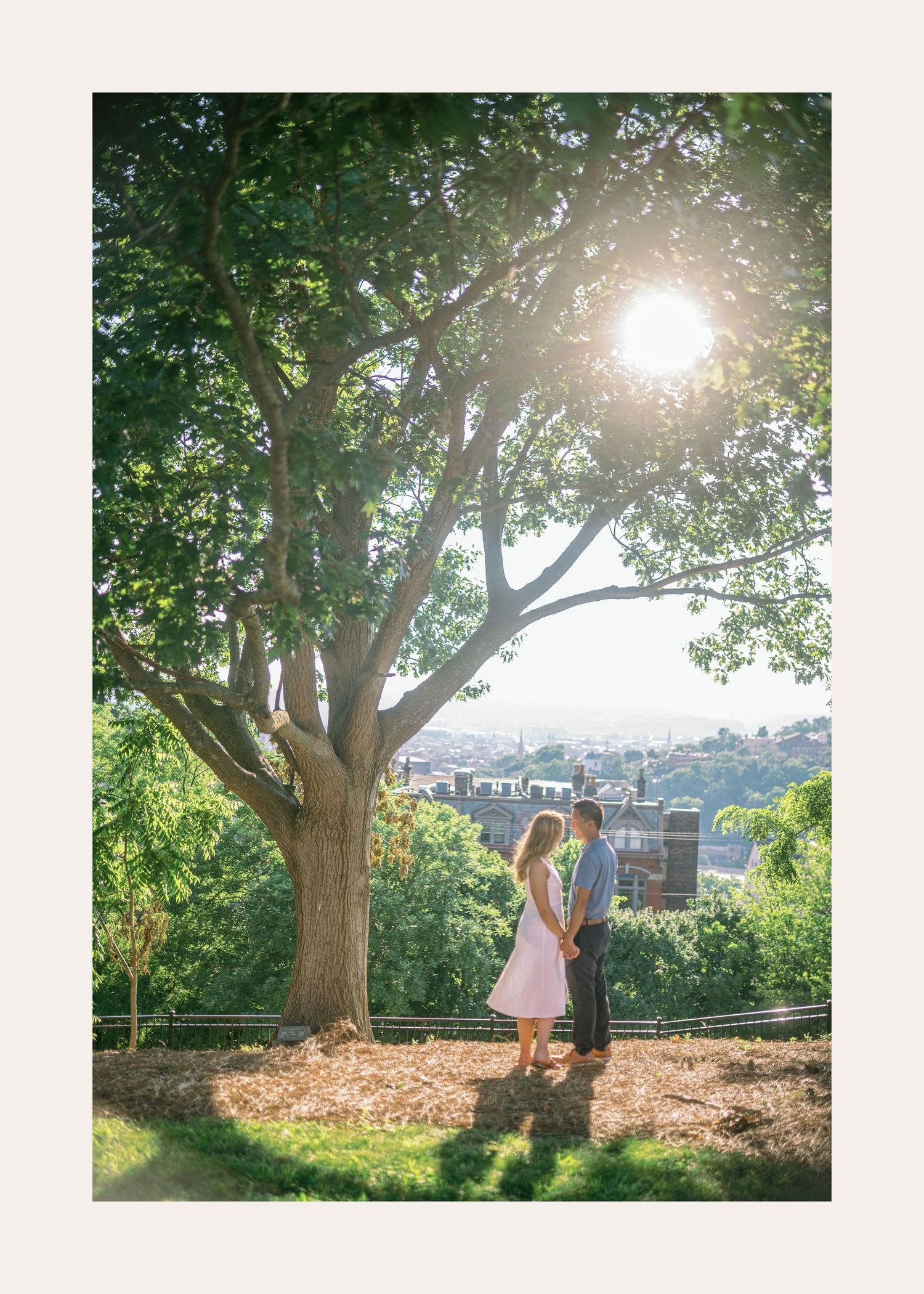 A couple shares a romantic moment under a sunlit tree on a hilltop overlooking a cityscape on a bright summer day.