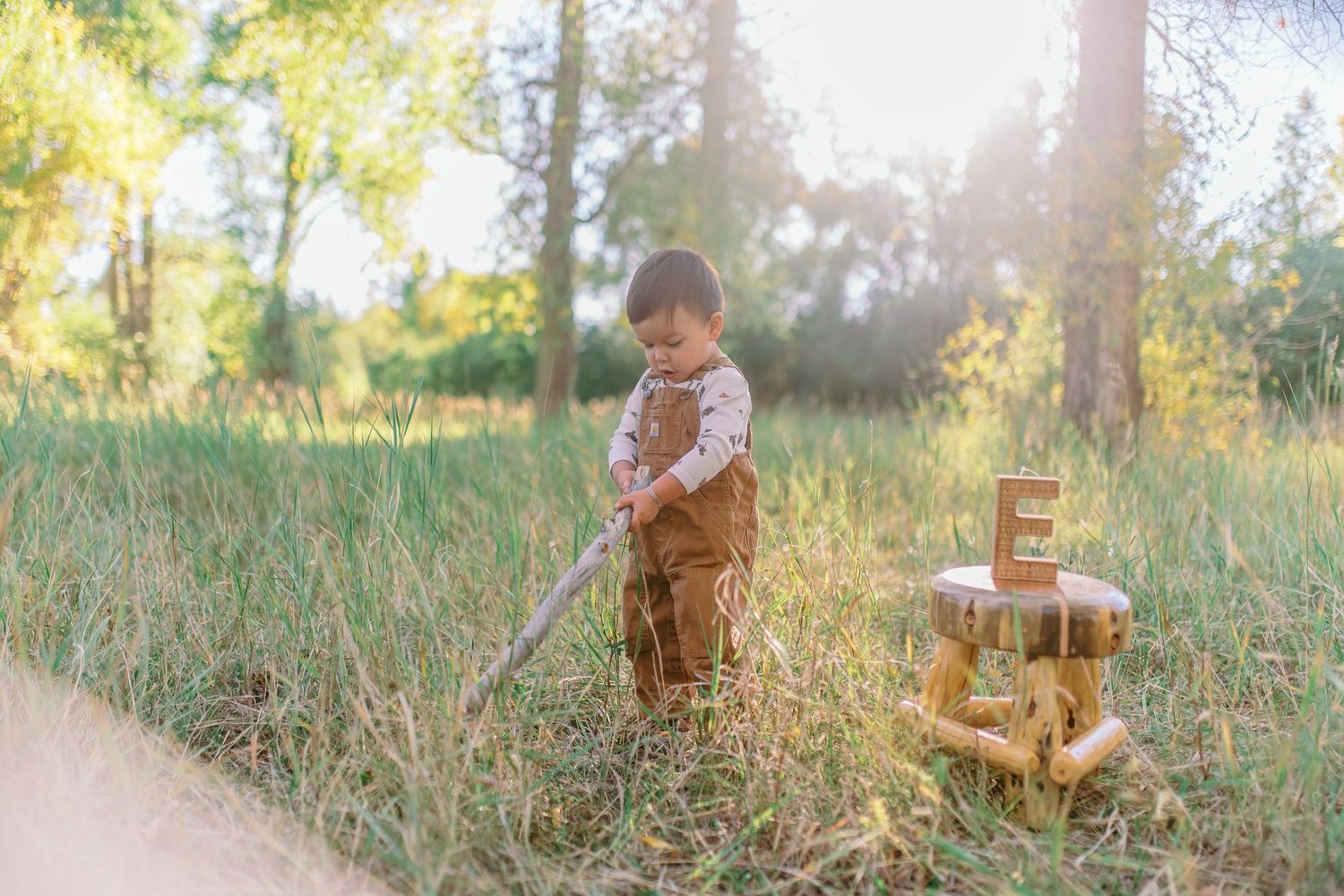 A series of outdoor lifestyle photos capturing moments in a sunlit meadow with tall grass and golden afternoon light.