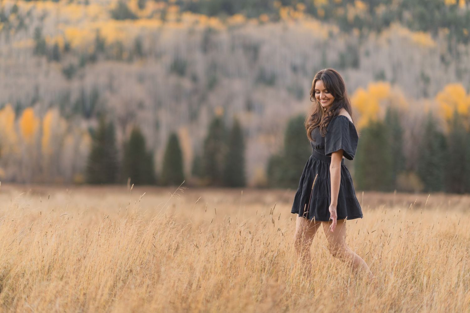 A series of seven photos showing a couple in a golden autumn field with mountains and fall foliage in the background.