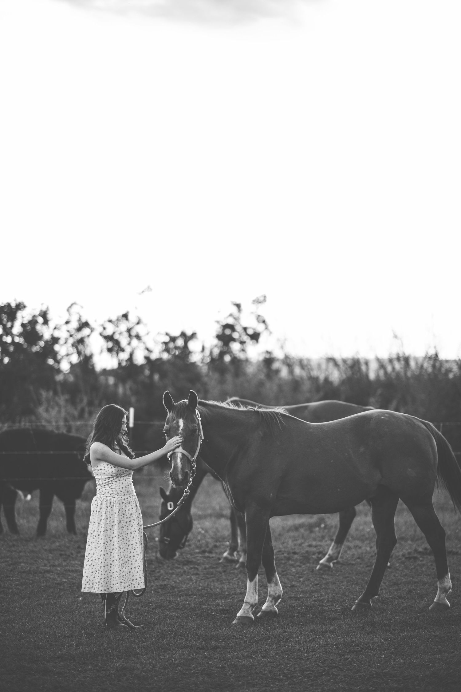A black and white vintage photograph shows someone in a dress hanging laundry on a line between horses in a field.