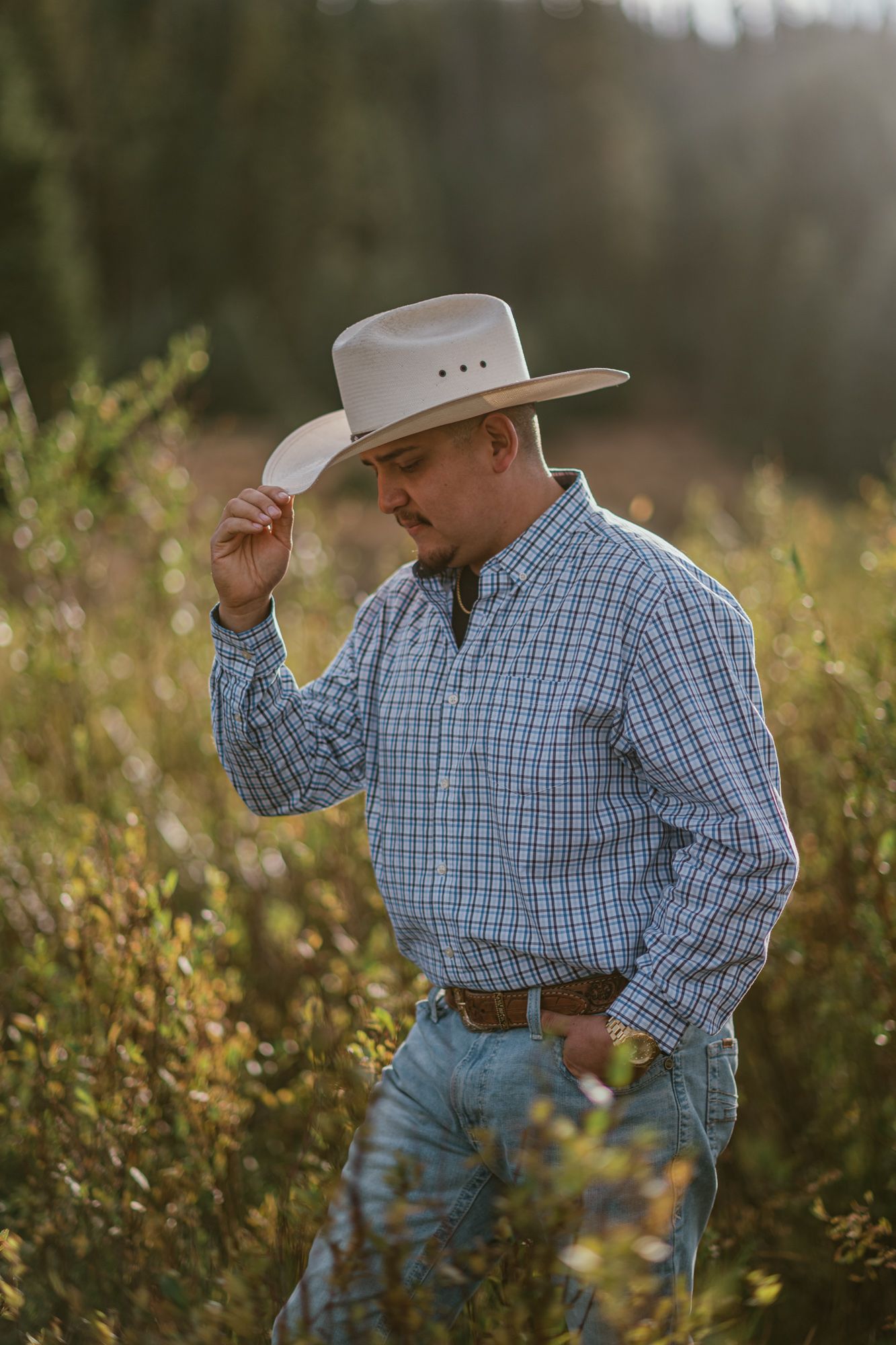 A cowboy in a plaid shirt and white hat stands in a sunlit field, tipping his hat gracefully.