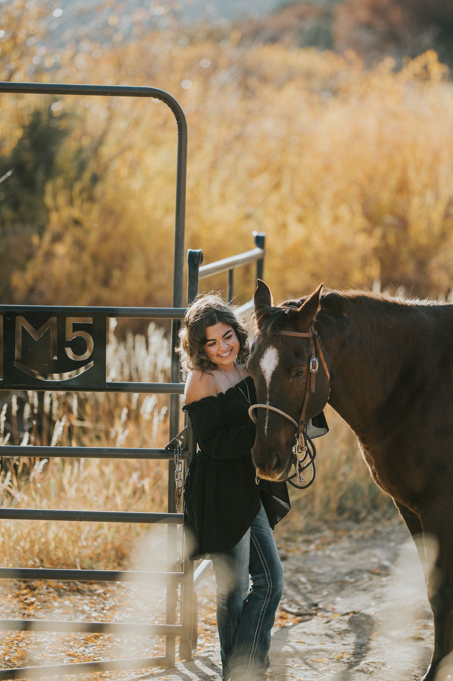 Horse and handler interact near metal gate during golden hour in autumn field.