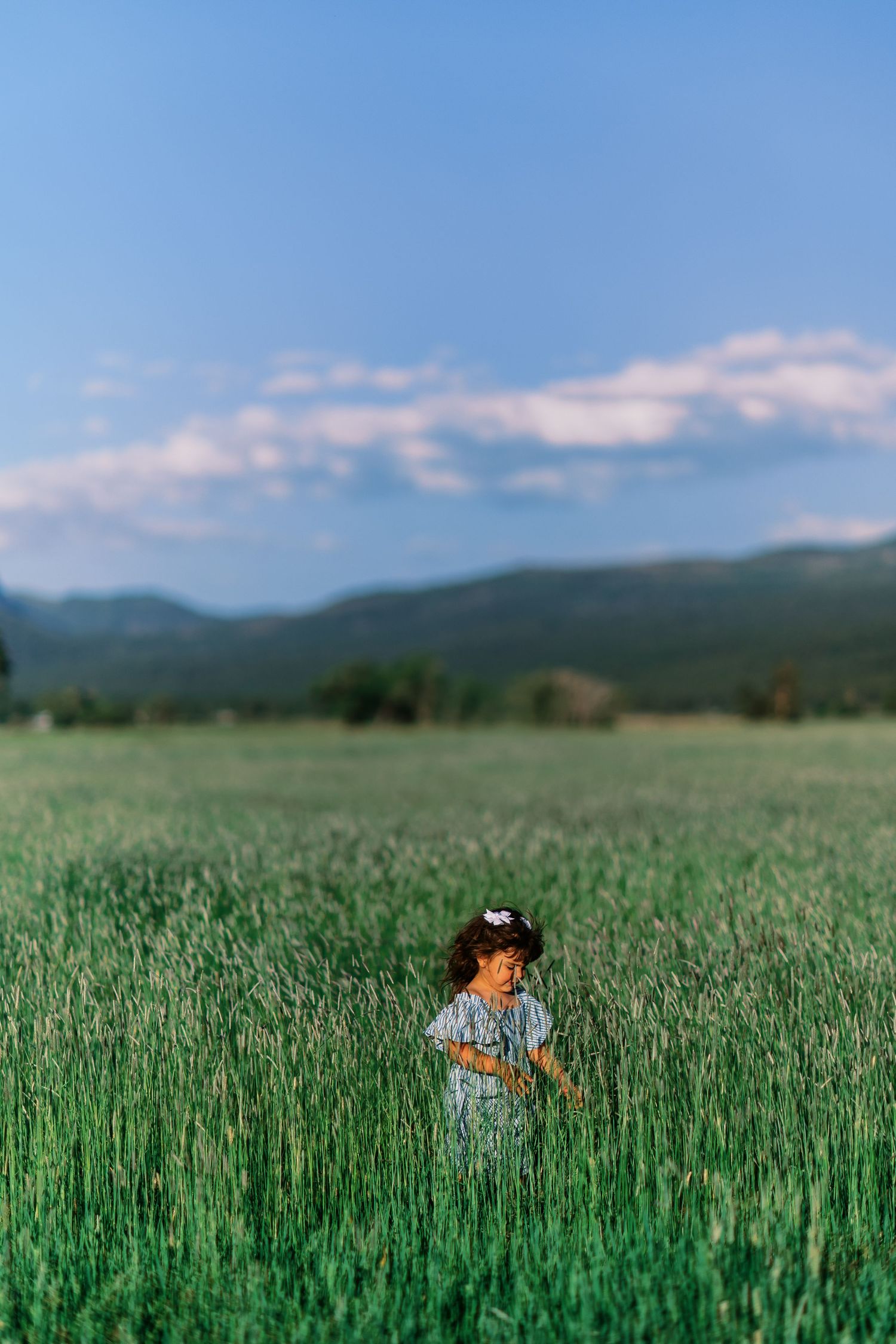 Young girl in blue dress standing in tall green wheat field with mountain backdrop and blue sky.