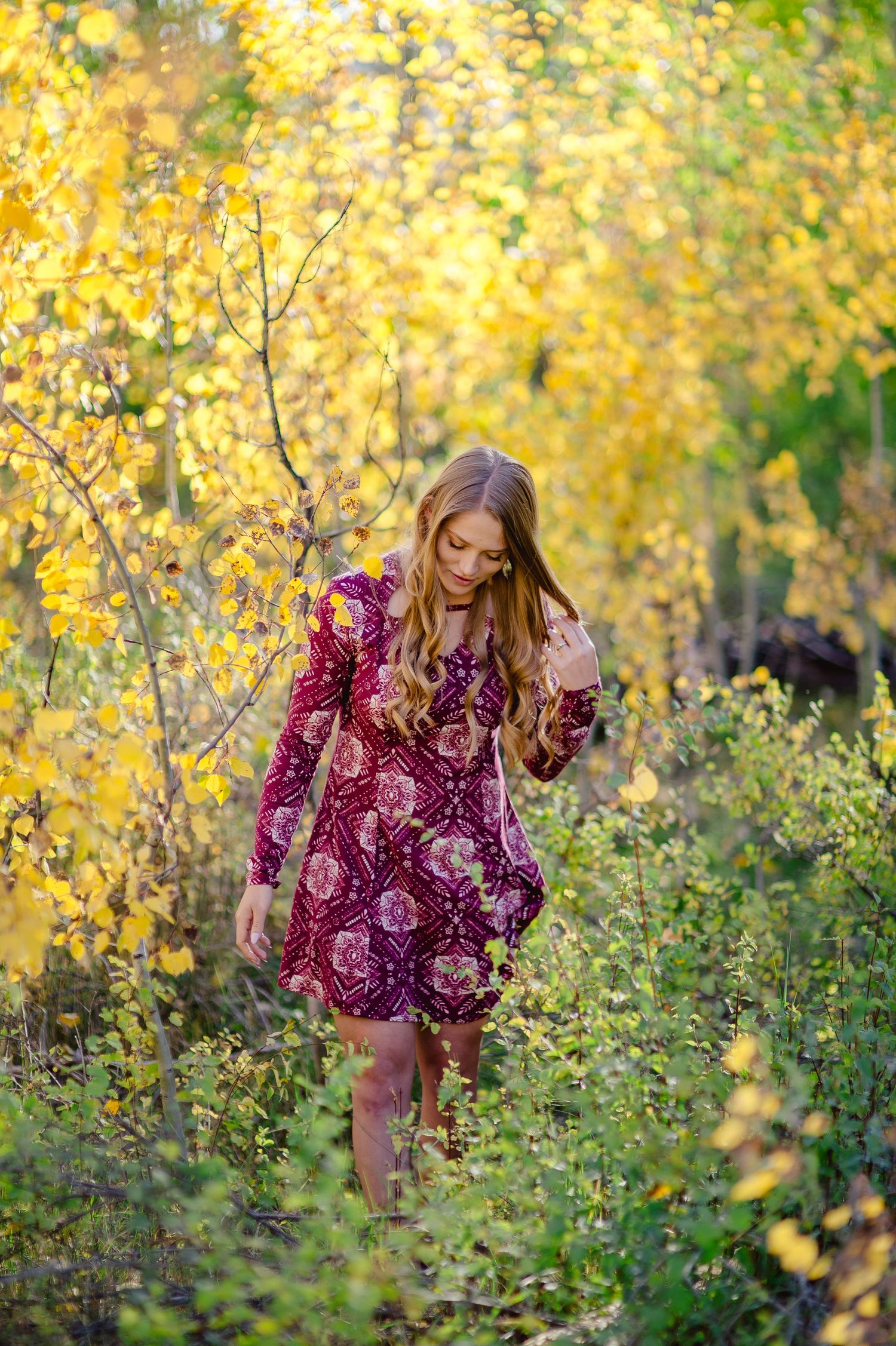 A floral burgundy dress stands out against vibrant yellow autumn foliage in an outdoor portrait session.