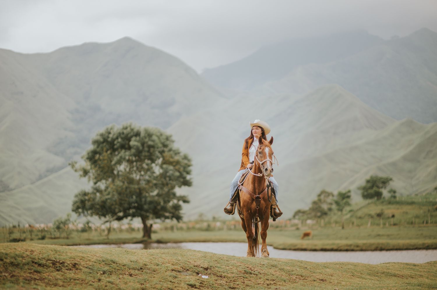 Scenic mountain landscape with horses silhouetted against misty rolling hills.
