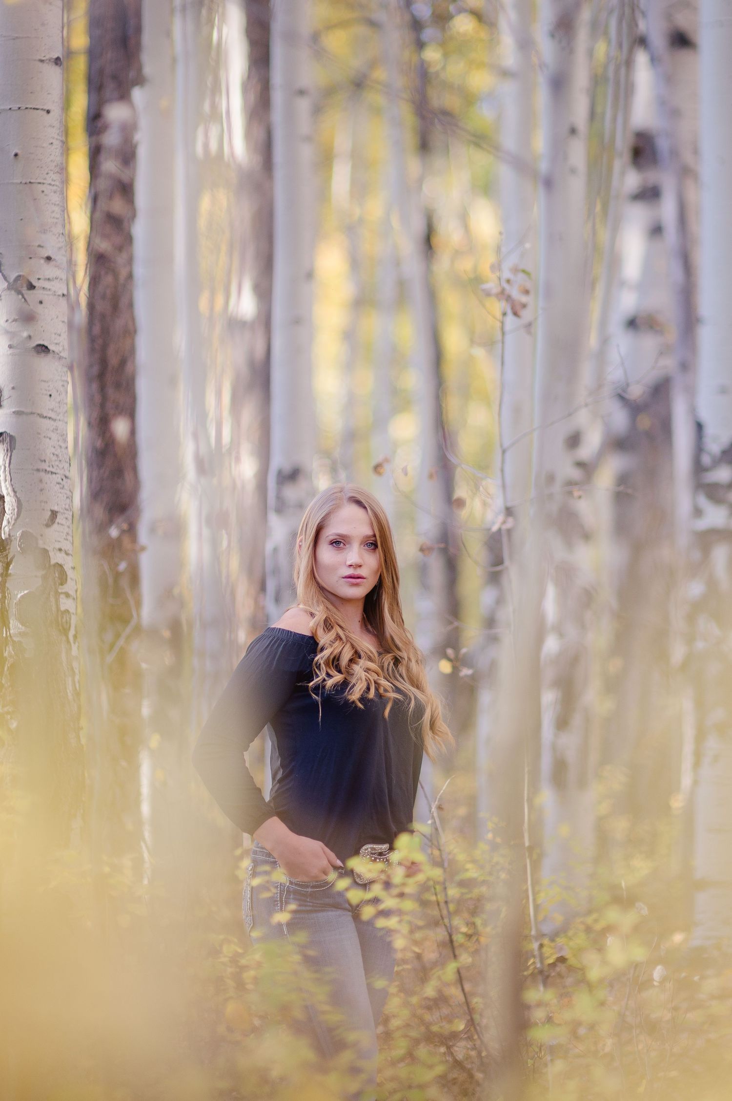 Dreamy autumn portrait among white birch trees with soft yellow bokeh and natural lighting.