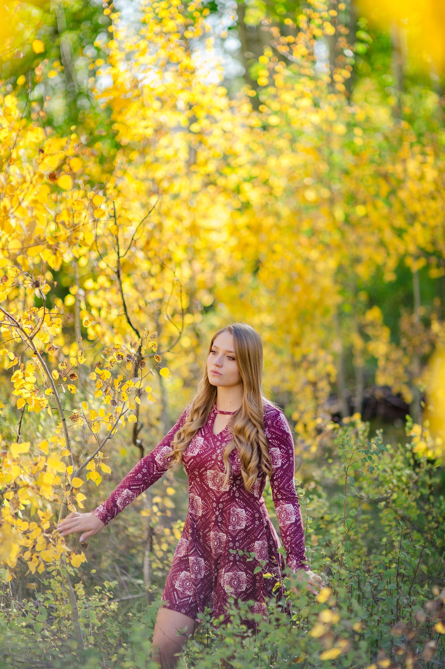 An autumn scene with bright yellow foliage behind a figure in a burgundy floral dress standing among birch trees.