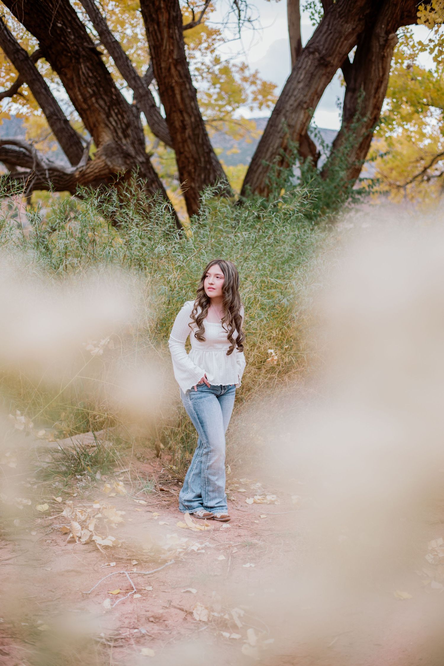 Artistic outdoor autumn portrait taken through blurred foliage with large tree trunks and golden leaves in background.