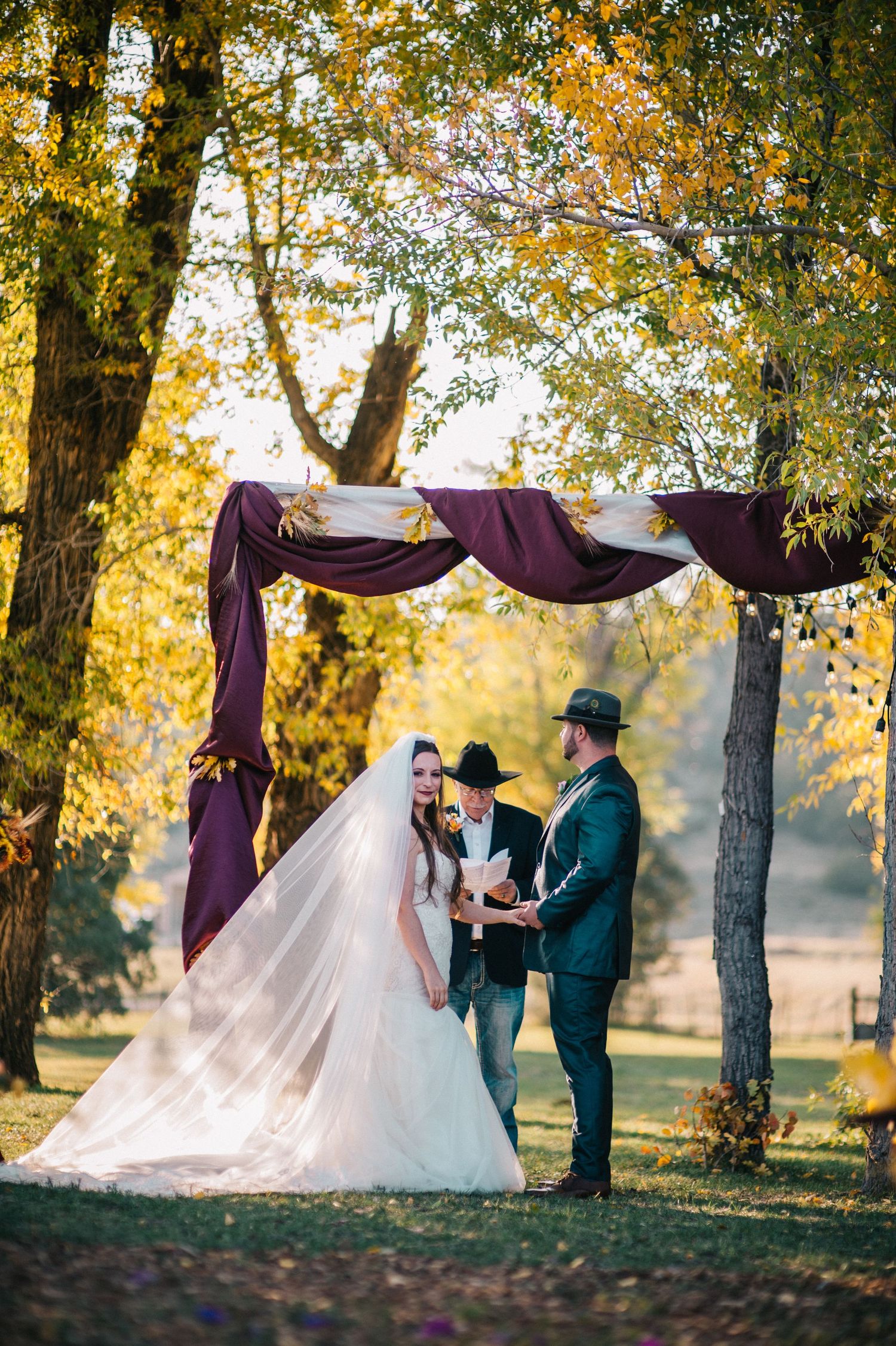 Autumn wedding ceremony under purple draped arch with golden leaves in background.