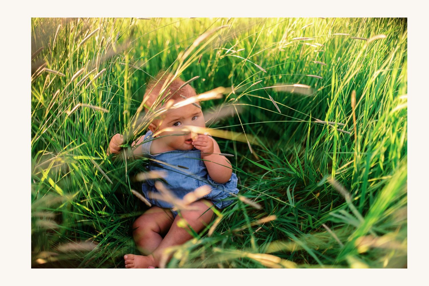 A baby in blue overalls nestled in tall green grass, surrounded by nature in warm sunlight.