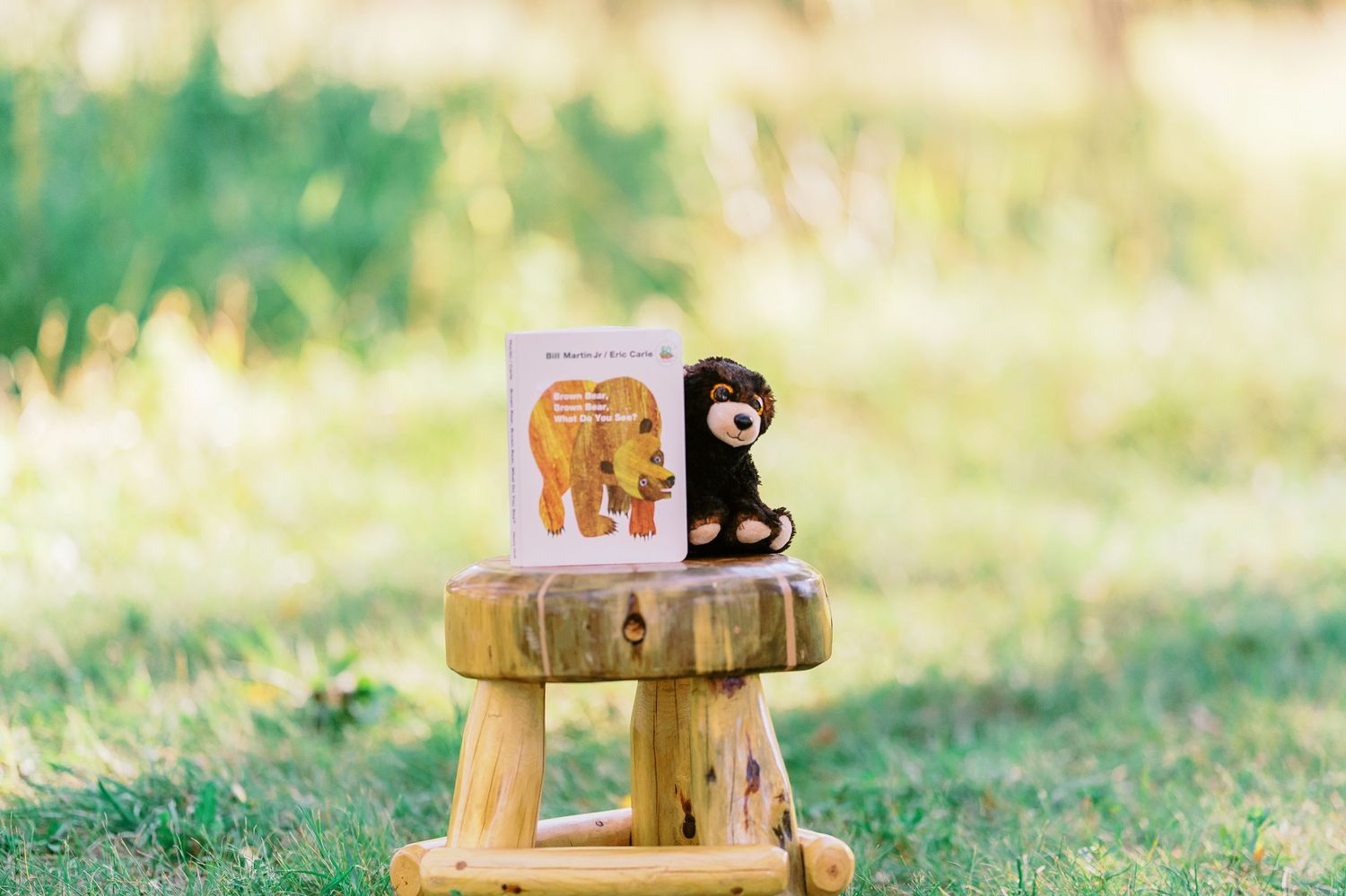 Small plush toy animals arranged on wooden blocks in a grassy outdoor setting create a whimsical scene.