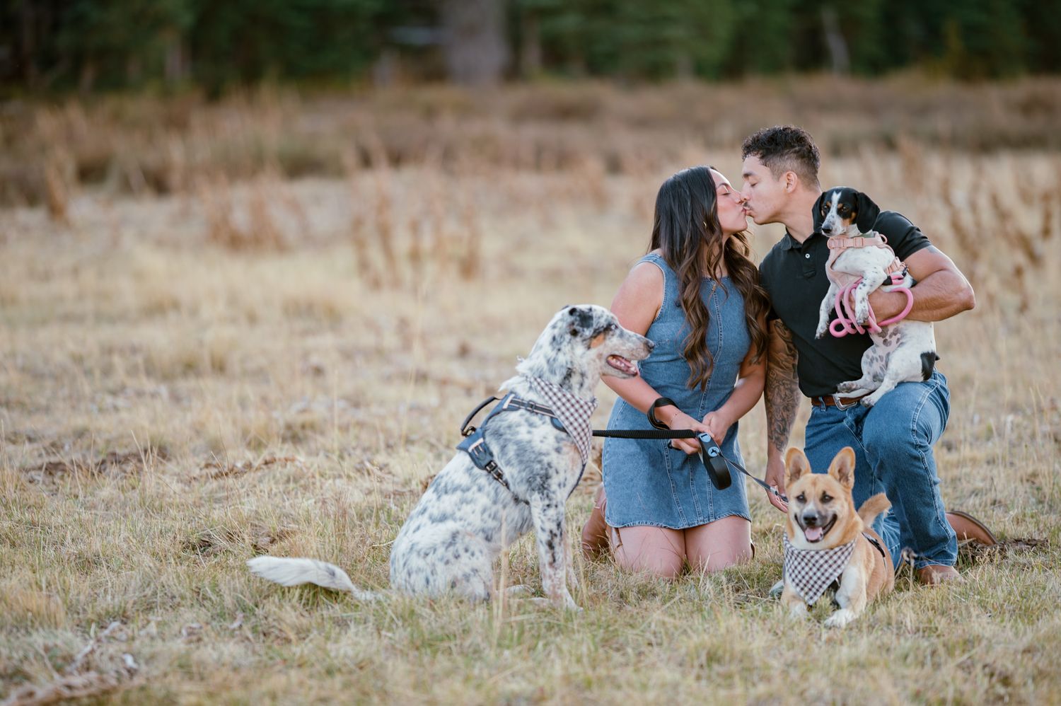 Couple kissing outdoors in a field with two dogs, a Corgi and Dalmatian, during a romantic engagement photo session.