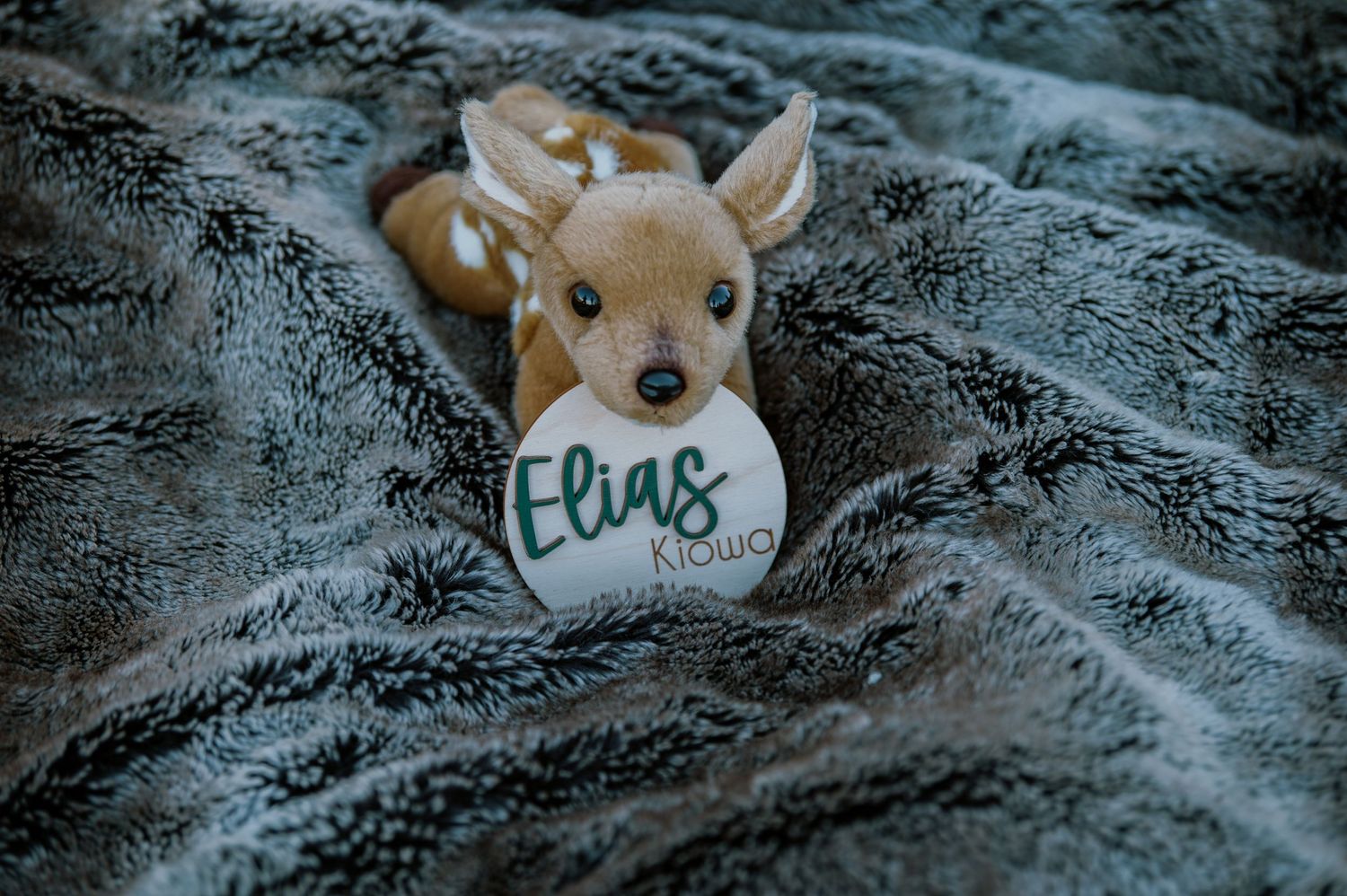 Close-up view of plush toy animals on textured gray blanket.