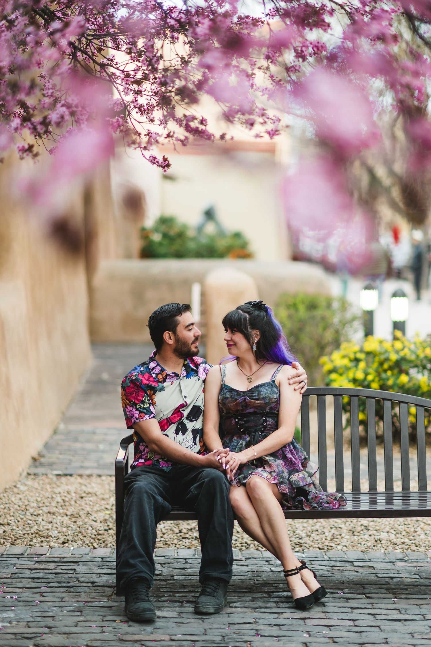 Couple sitting on a bench under blooming pink cherry blossom trees, sharing a romantic moment in a courtyard.