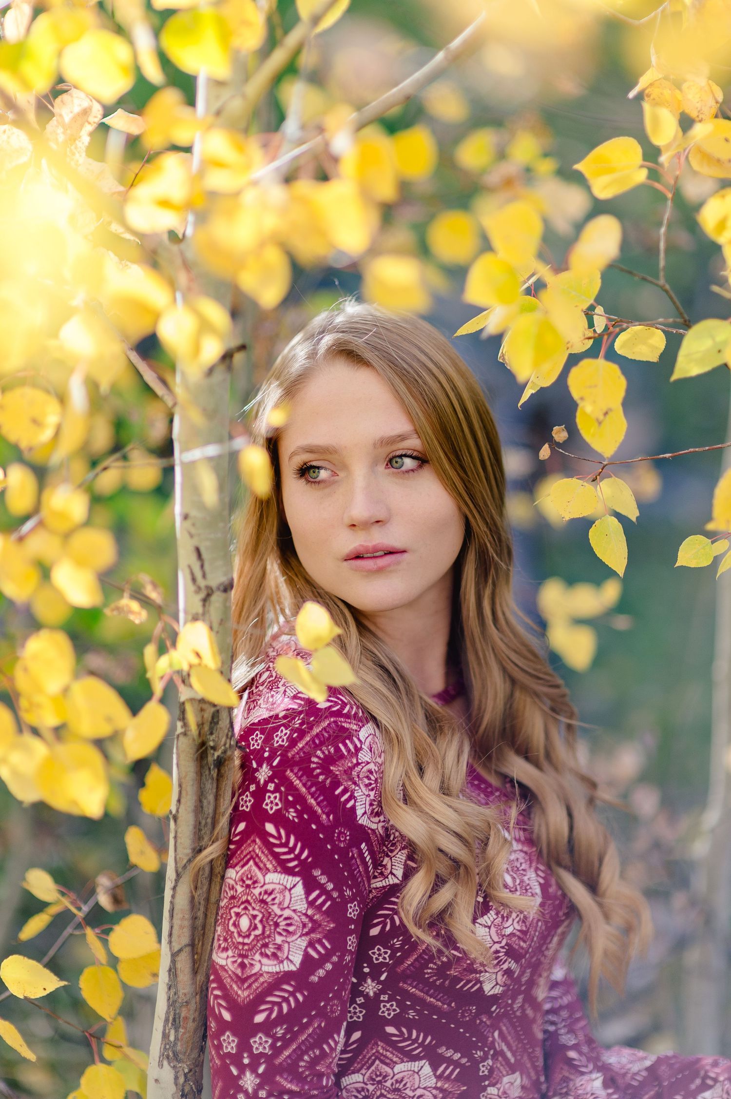 A person wearing a burgundy patterned top poses among yellow autumn leaves and foliage in soft natural lighting.