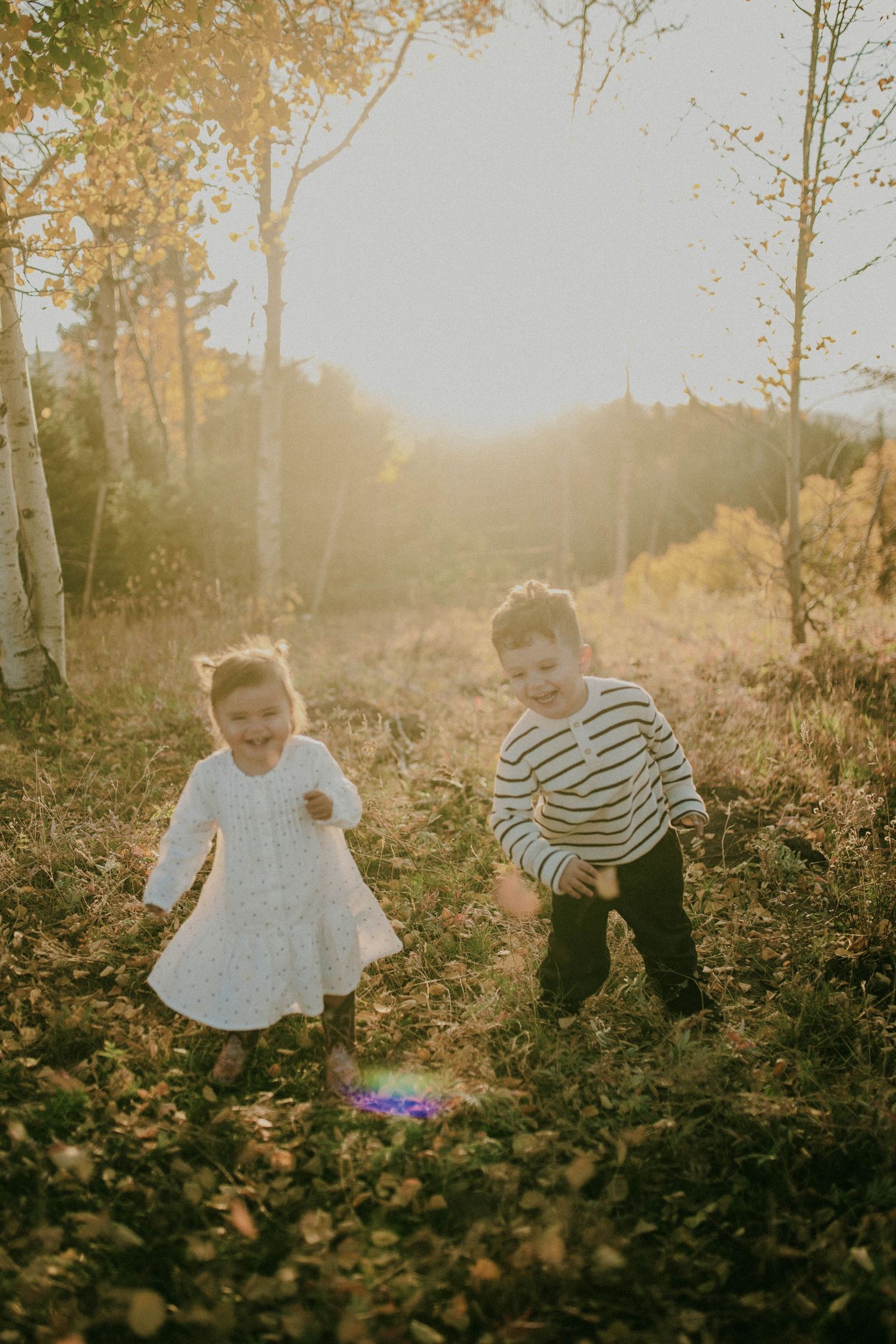 Two children play together in a sunlit forest with golden light streaming through autumn birch trees.