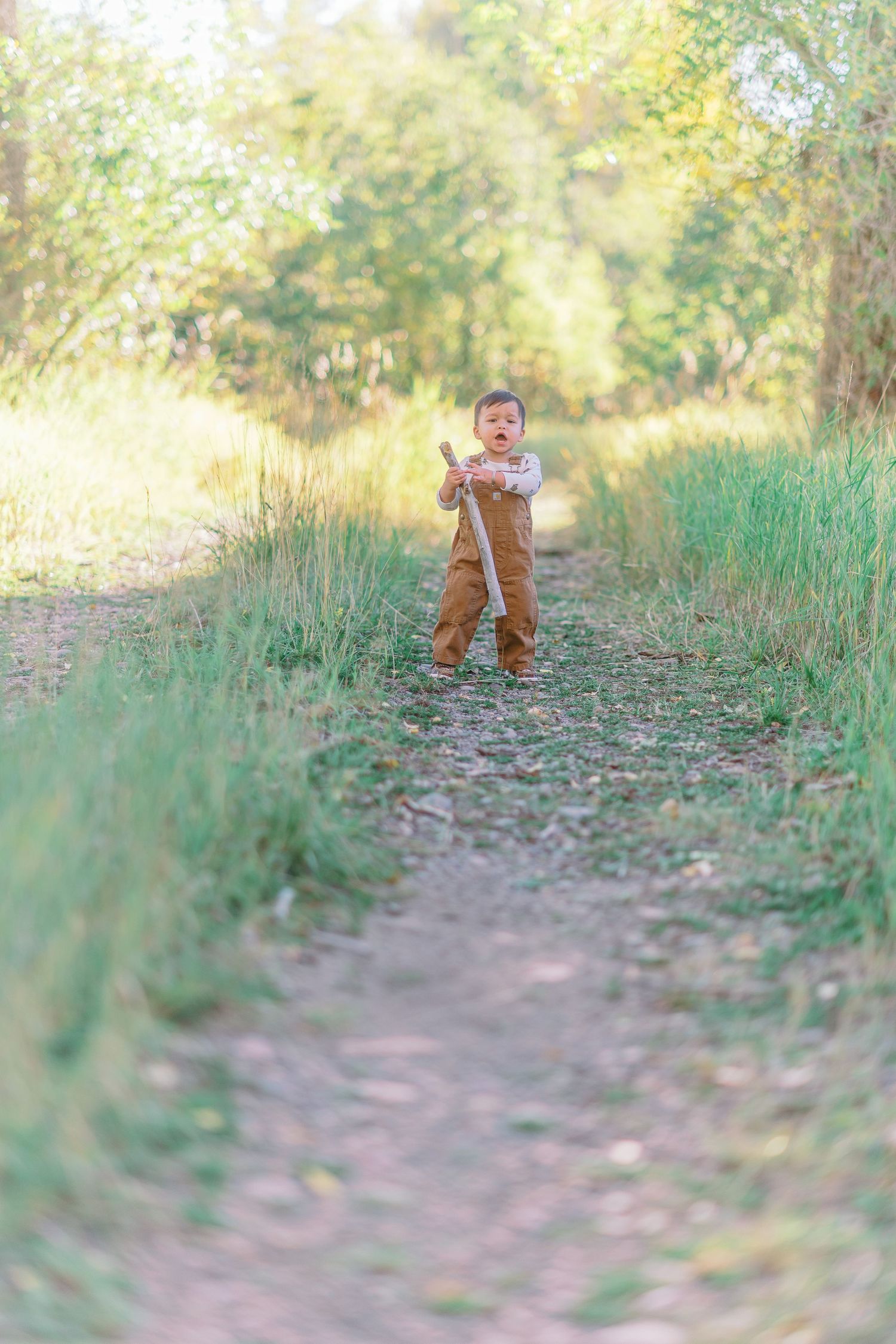 A small figure in brown overalls stands on a dirt path surrounded by tall grass and sunlit trees in the background.