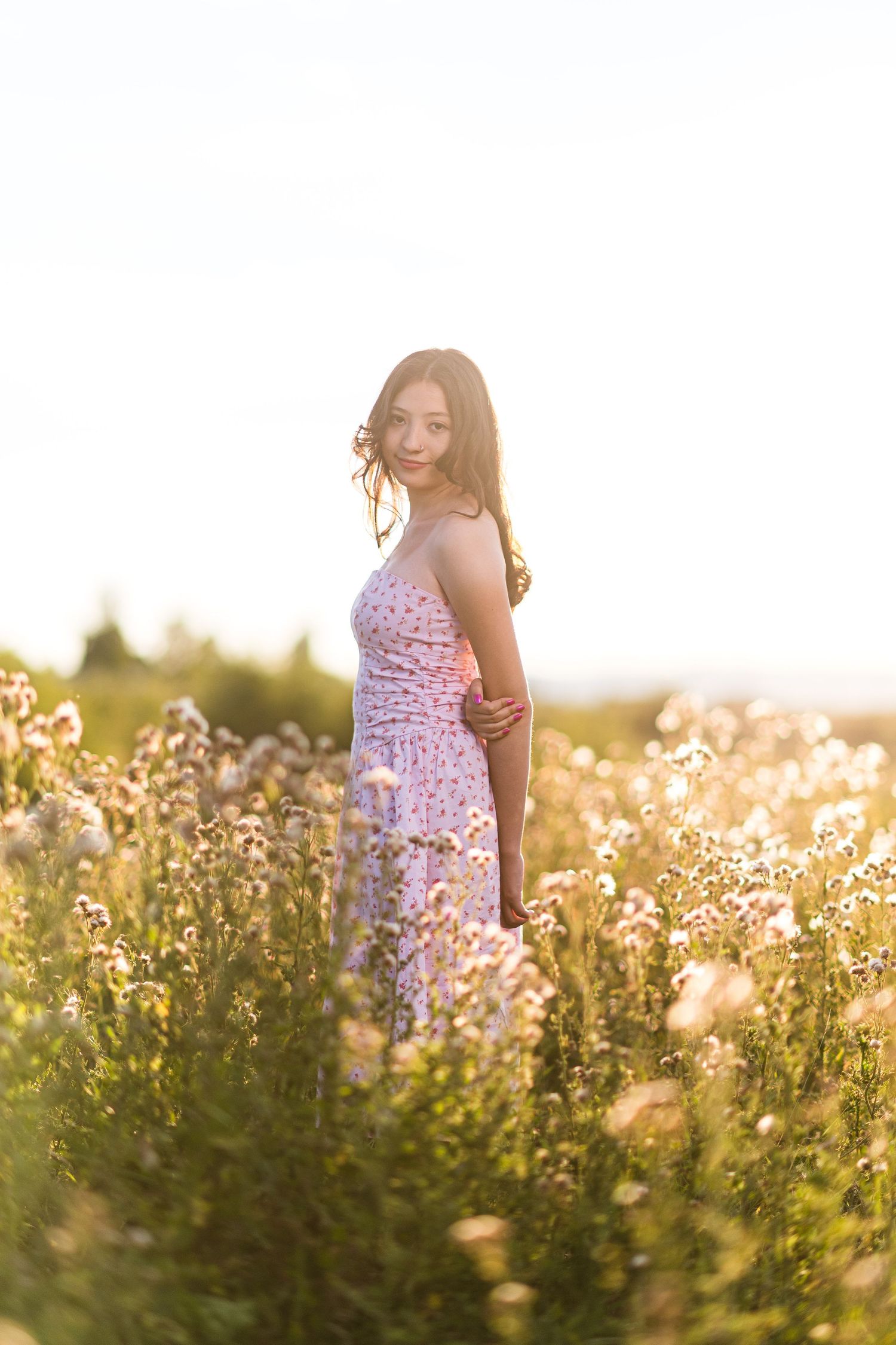 A dreamy summer sunset scene in a wildflower meadow featuring soft golden light filtering through delicate blooms.