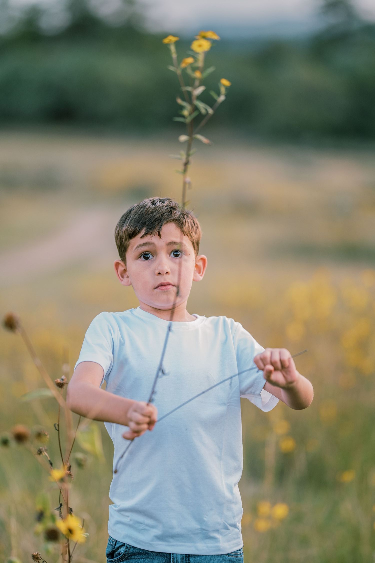 Young child playing in a field of yellow wildflowers on a sunny summer day.