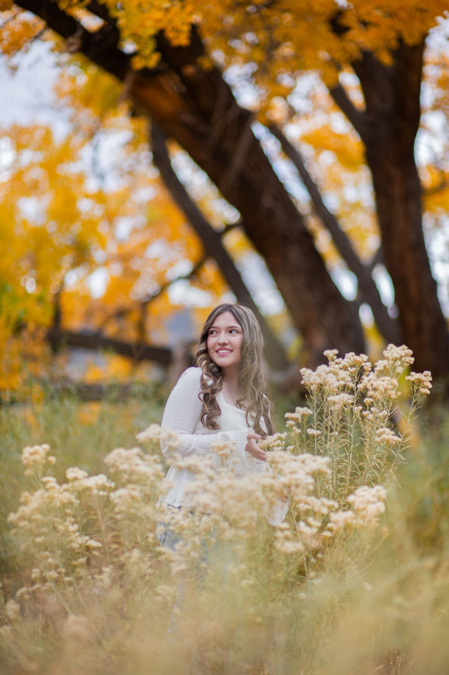 A person in a white sweater sits among wildflowers beneath autumn trees with golden foliage.