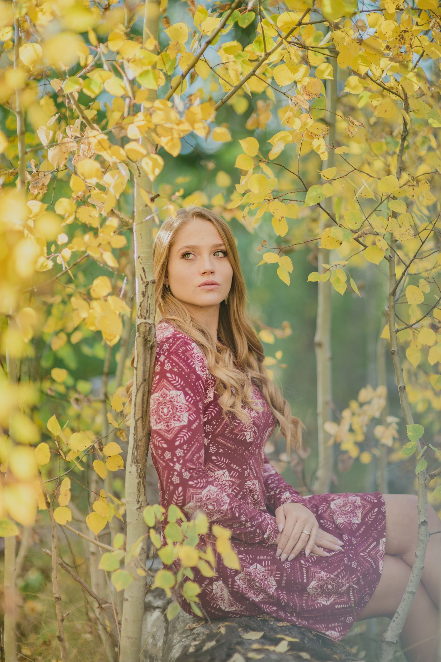 Autumn portrait among golden aspen trees with burgundy floral dress creating seasonal contrast.