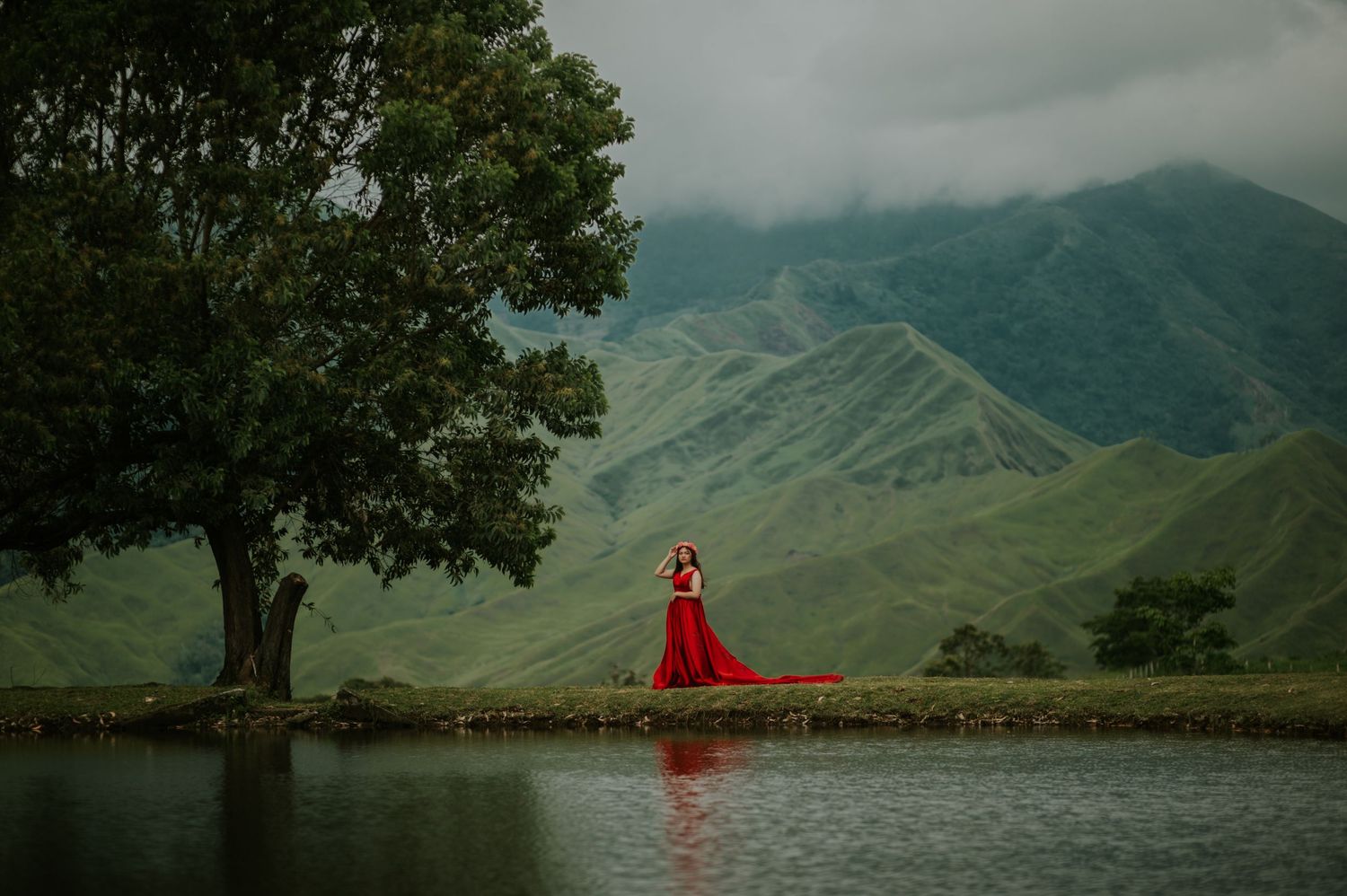 Scenic mountain lake view with lone tree and dramatic cloudy sky.