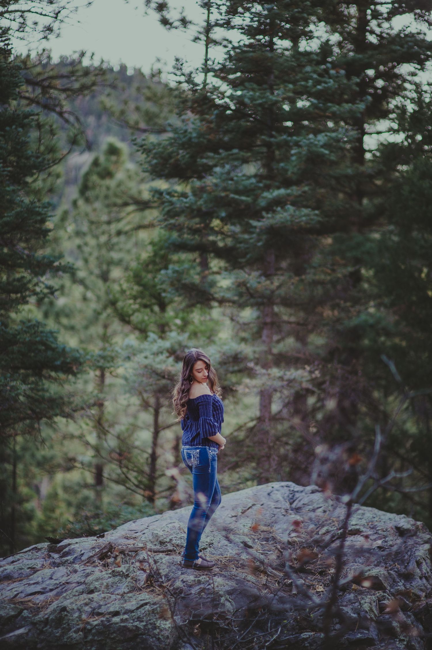Distant figure standing on rocky mountain outcrop surrounded by evergreen trees.