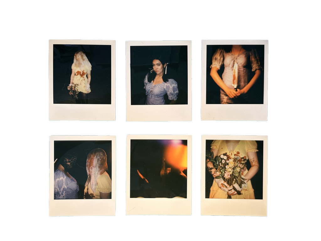 Collection of six vintage-style polaroid photographs arranged in grid format.