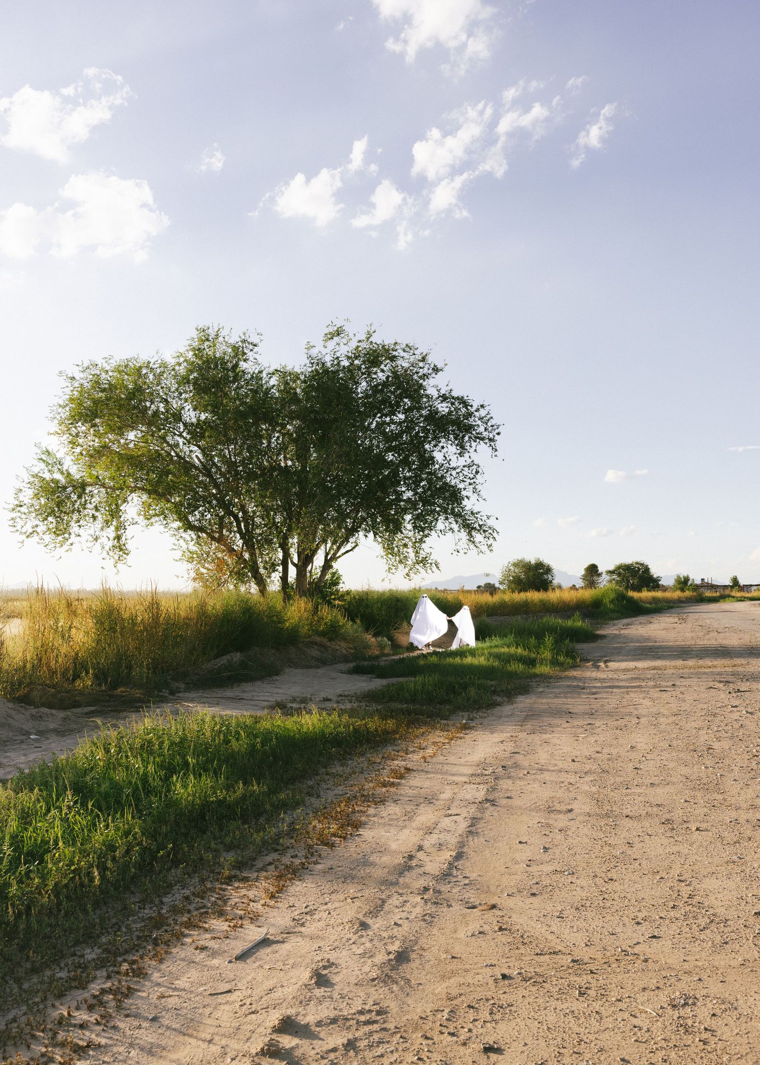 Dirt road winds through grassy landscape under bright blue sky.